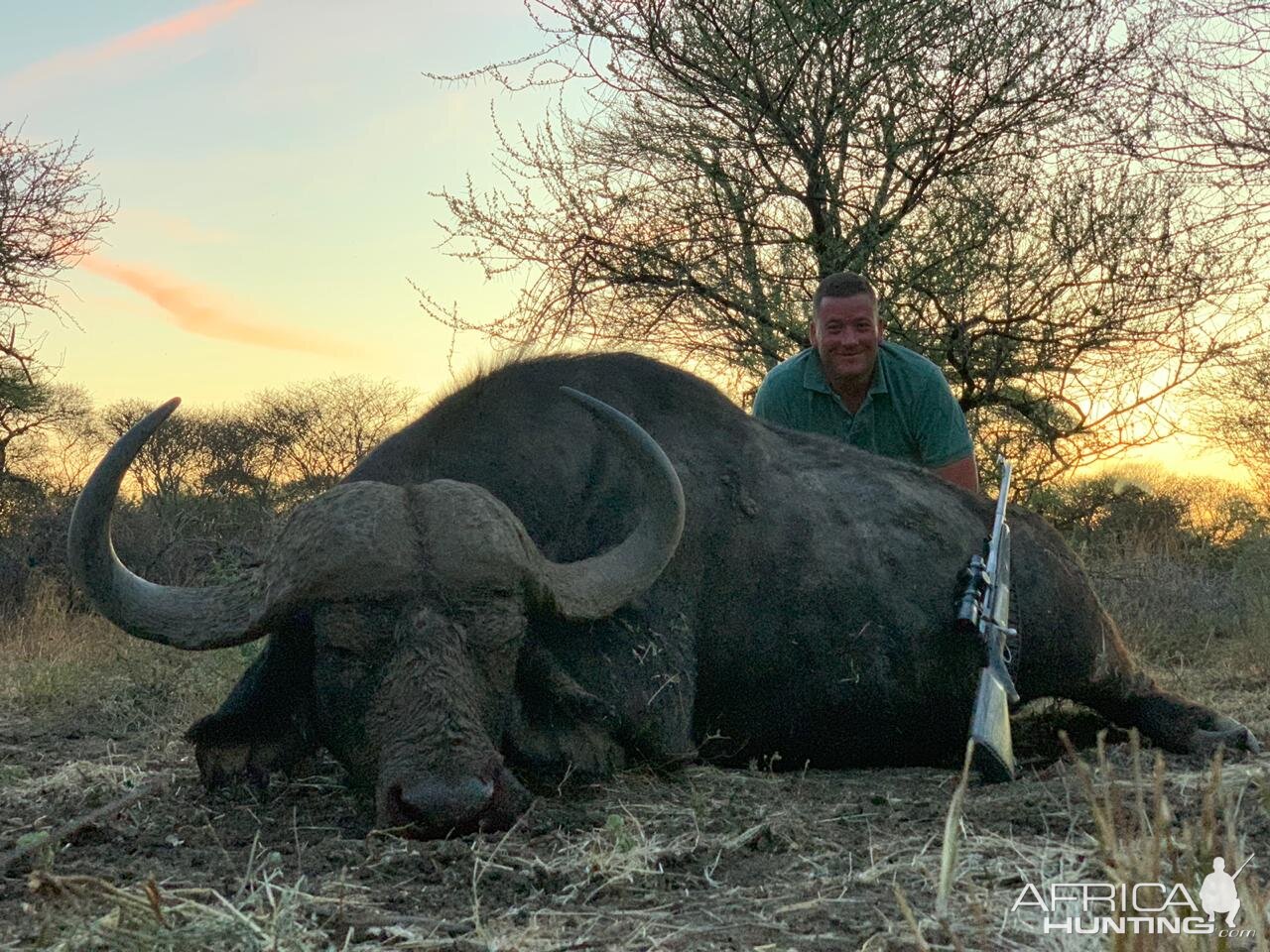 South Africa Hunt Cape Buffalo | AfricaHunting.com