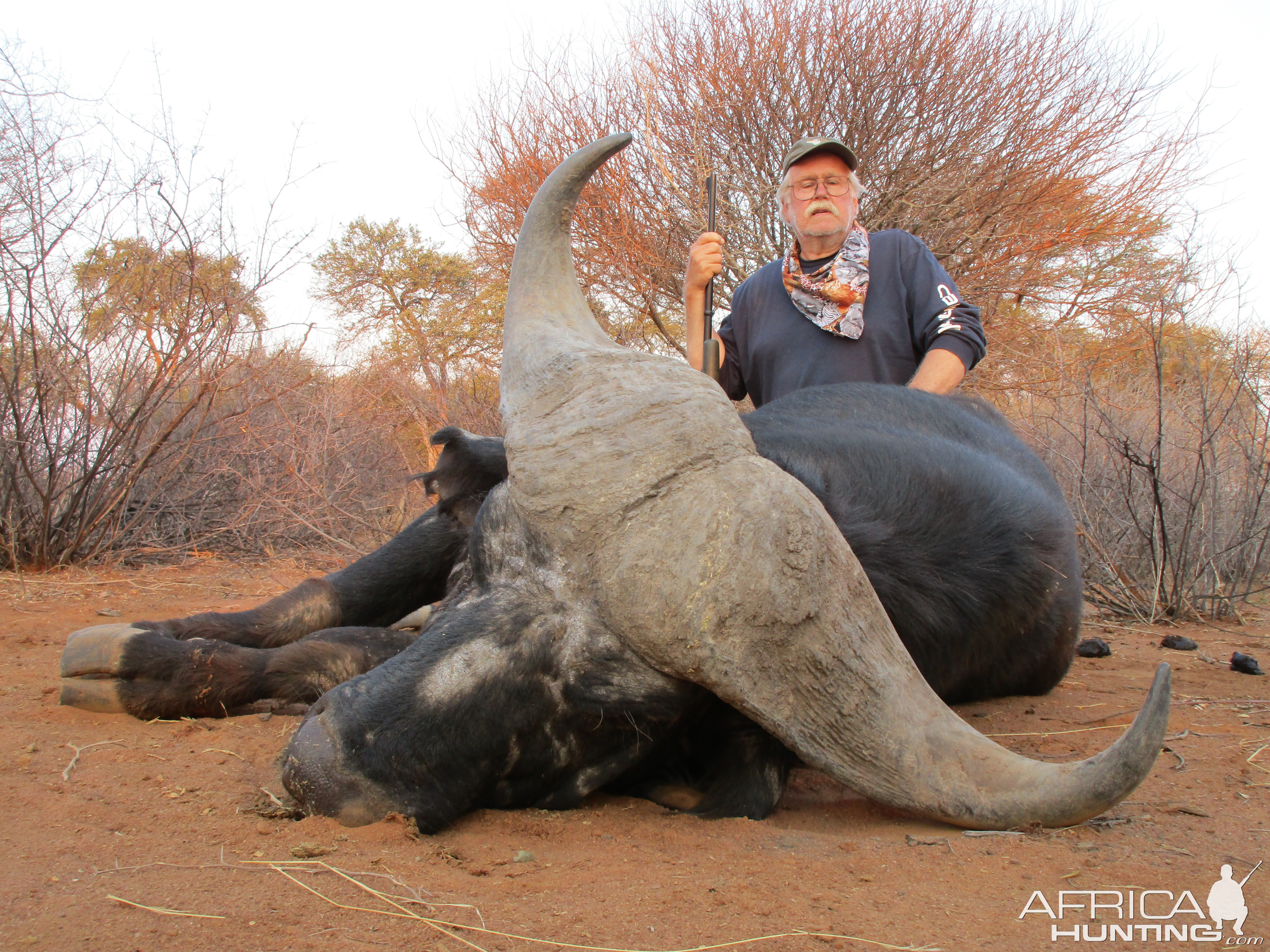 South Africa Hunt Cape Buffalo