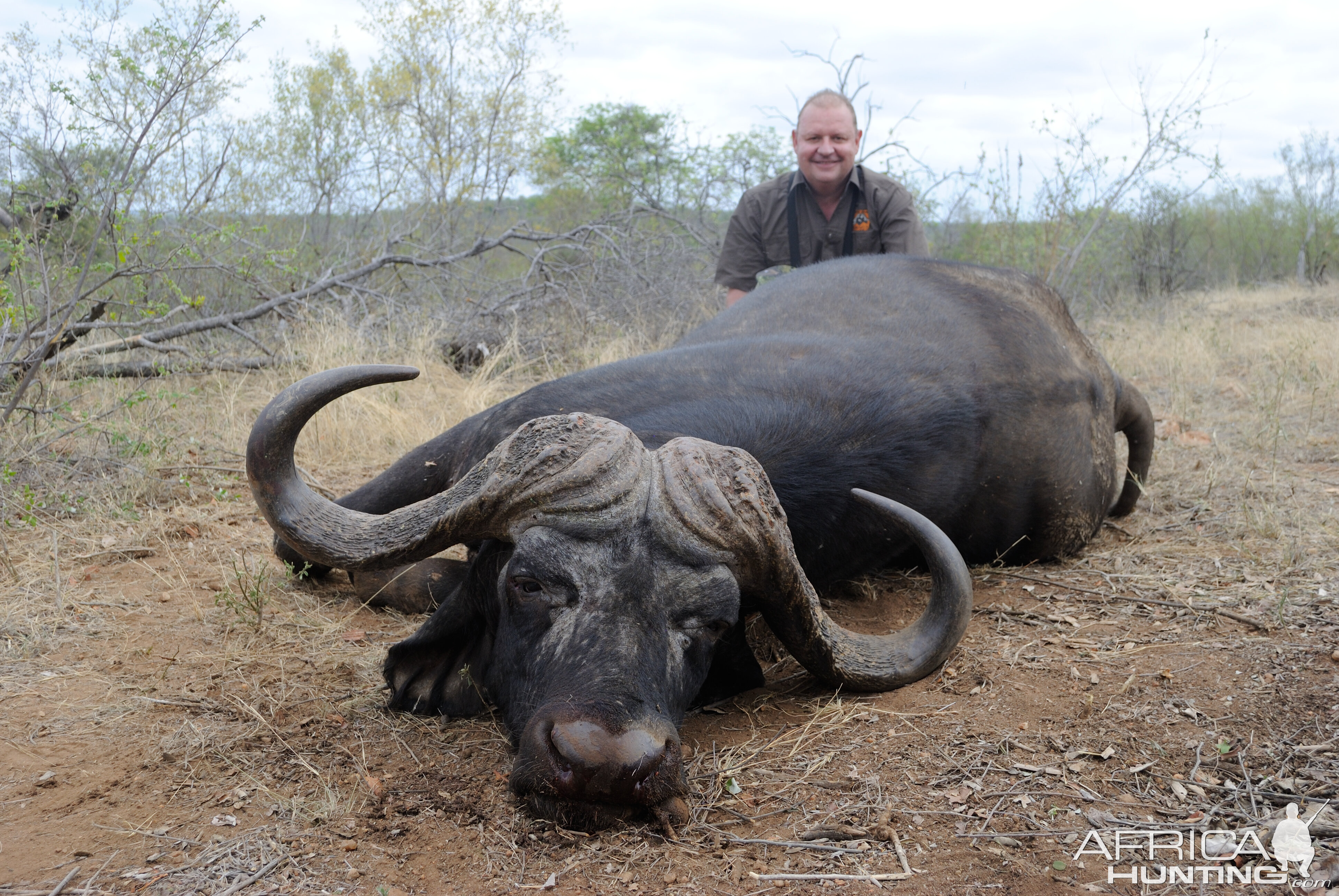 South Africa Hunt Cape Buffalo