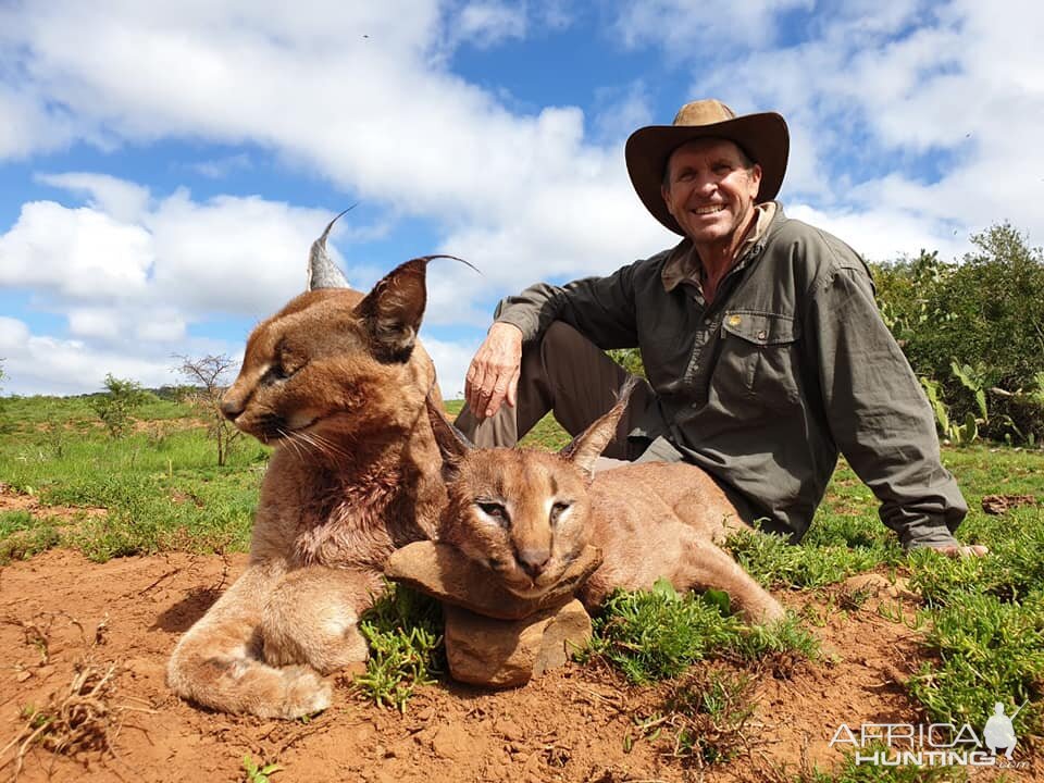 South Africa Hunt Caracal | AfricaHunting.com