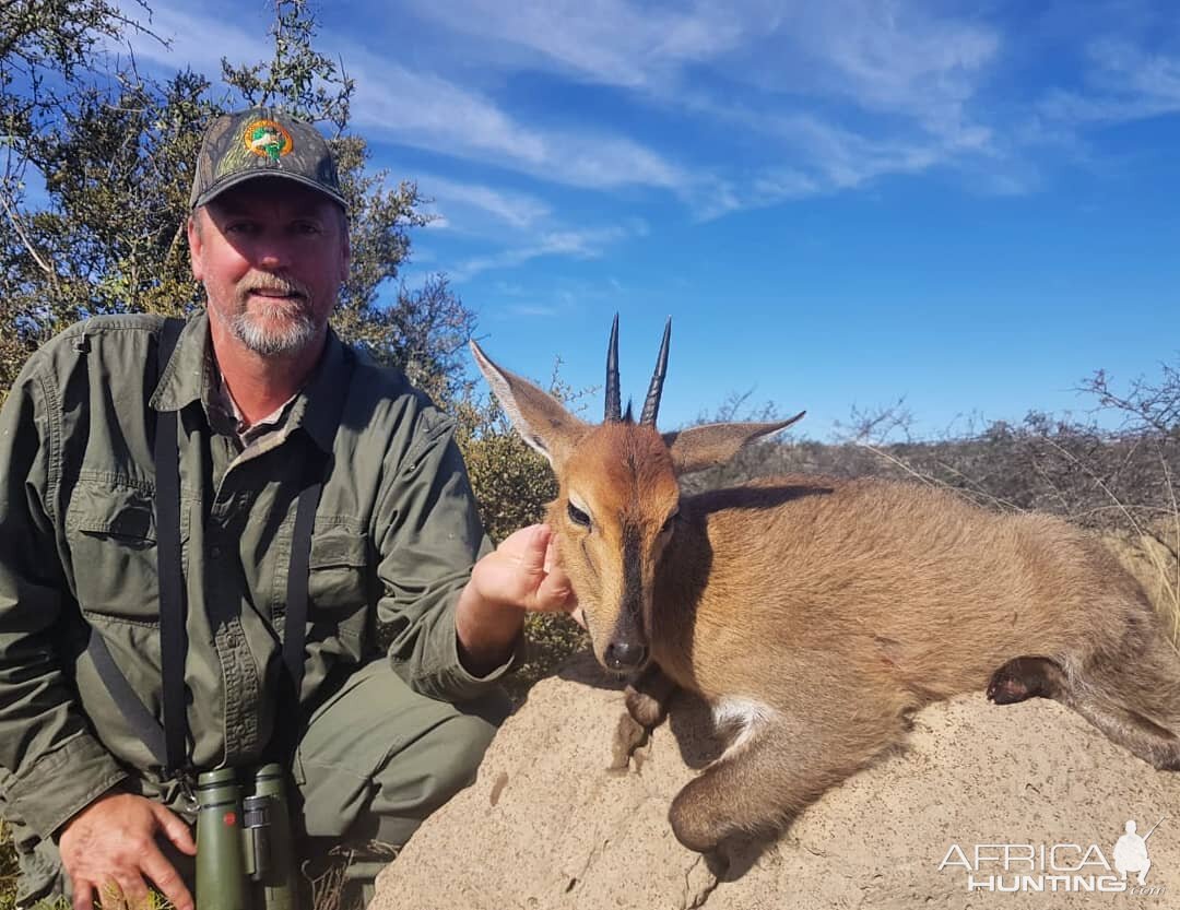 South Africa Hunt Duiker