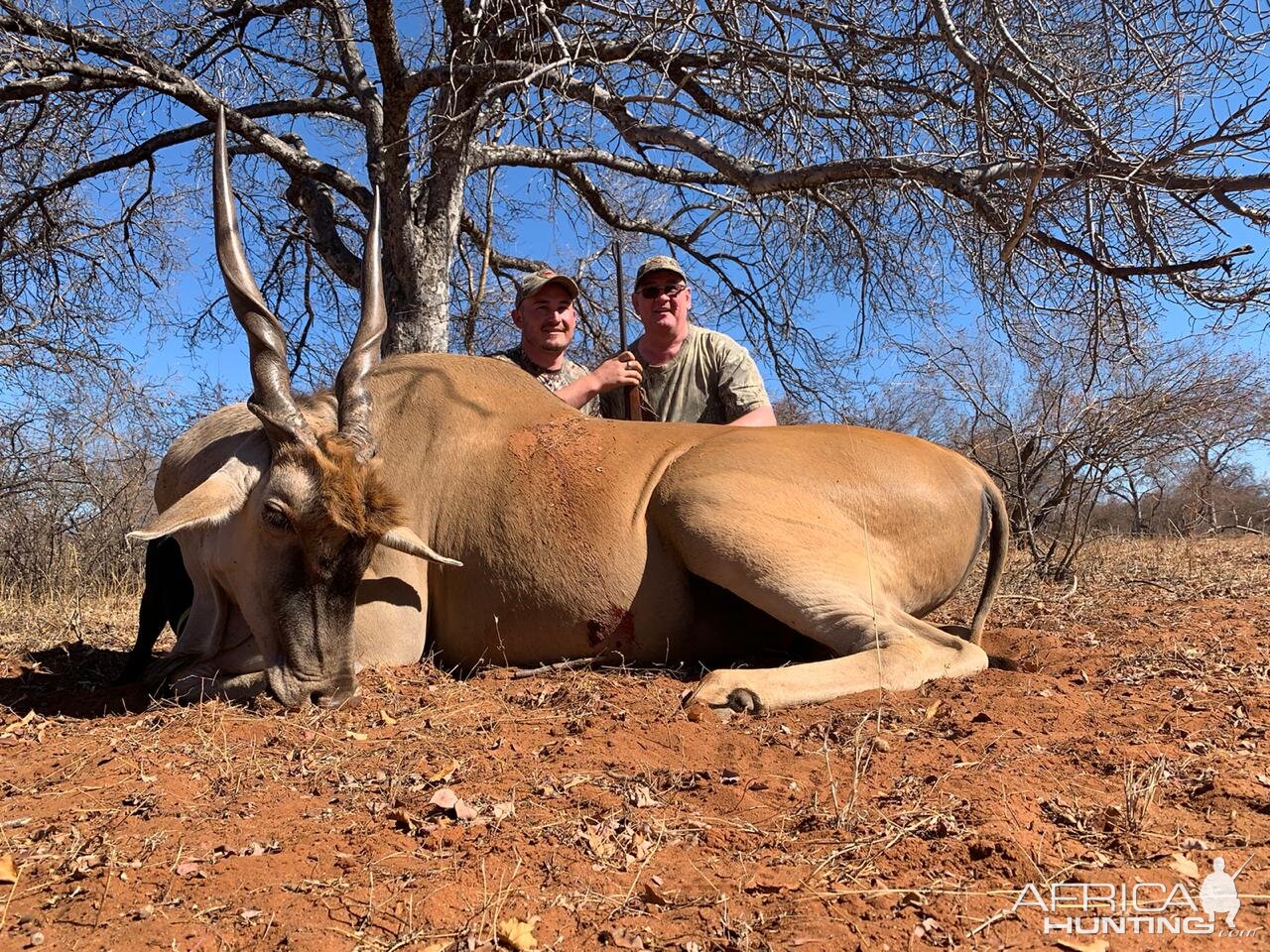 South Africa Hunt Eland