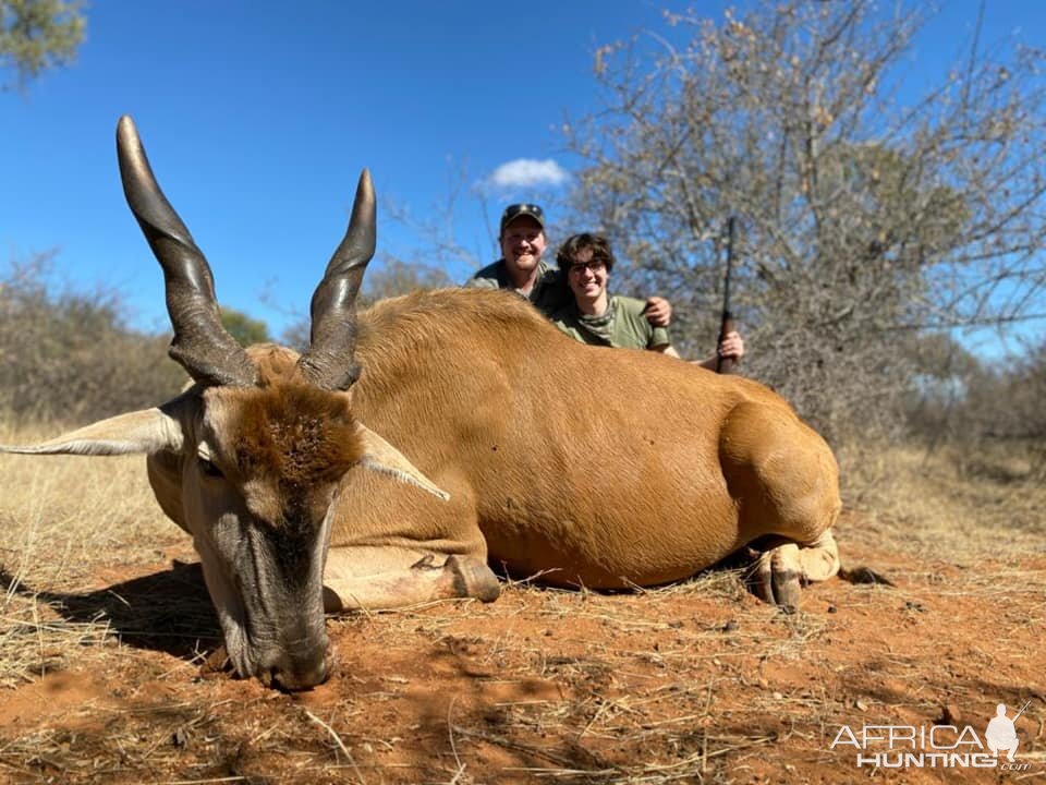 South Africa Hunt Eland