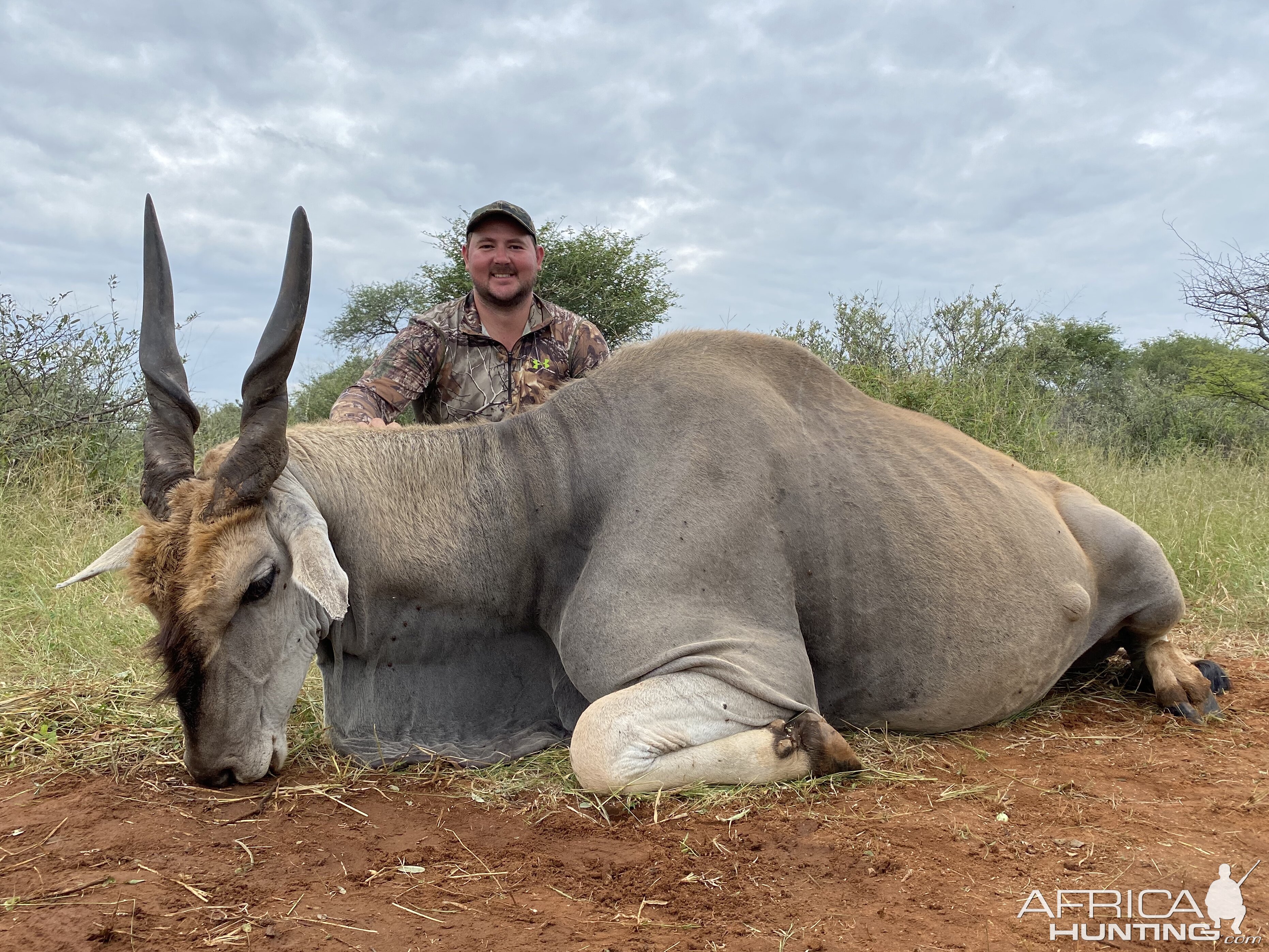 South Africa Hunt Eland