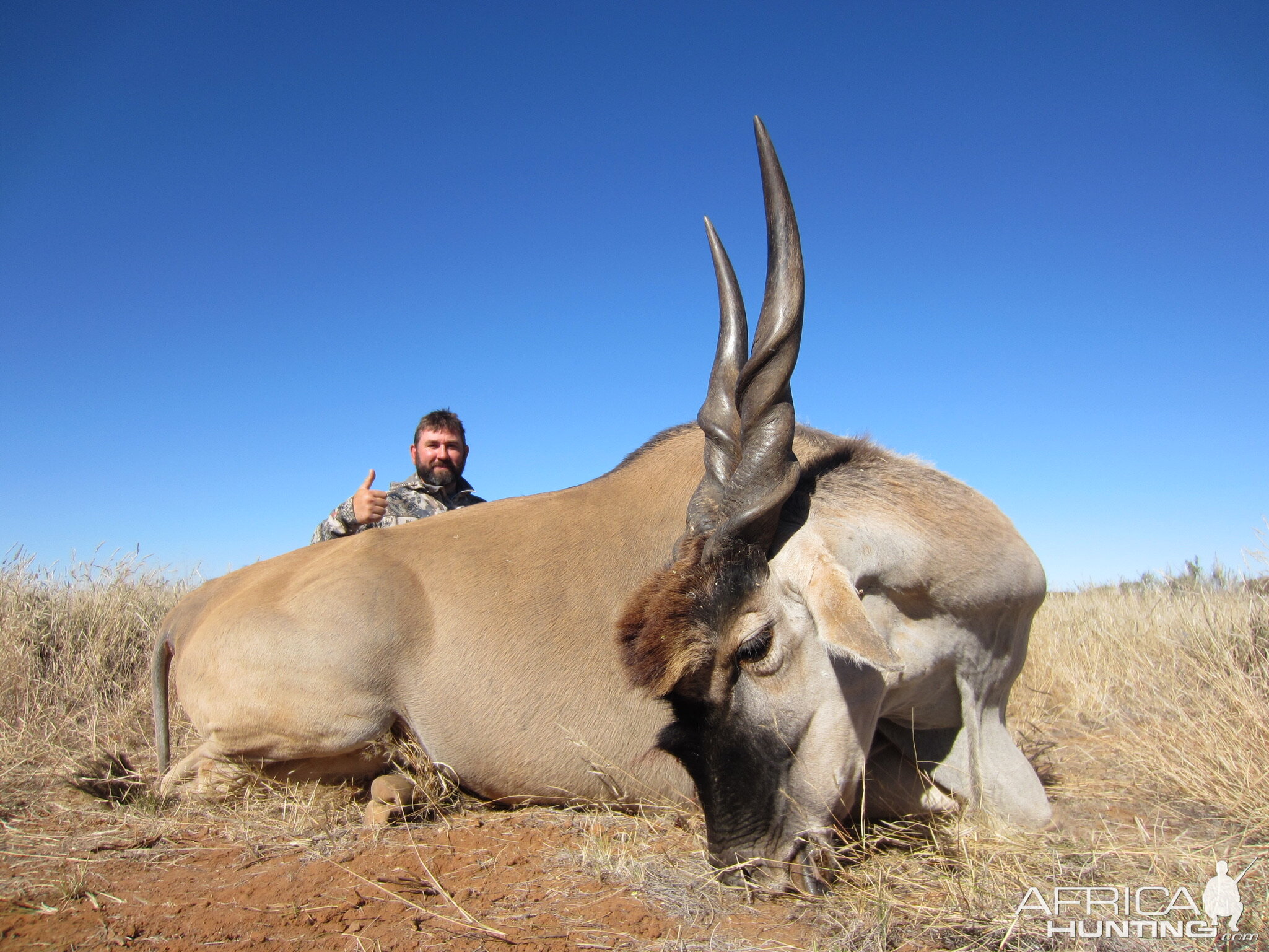 South Africa Hunt Eland