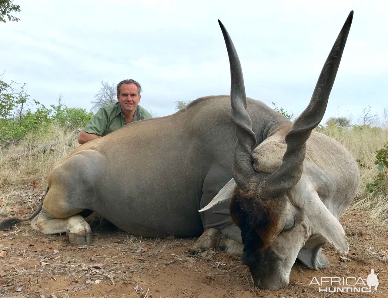 South Africa Hunt Eland