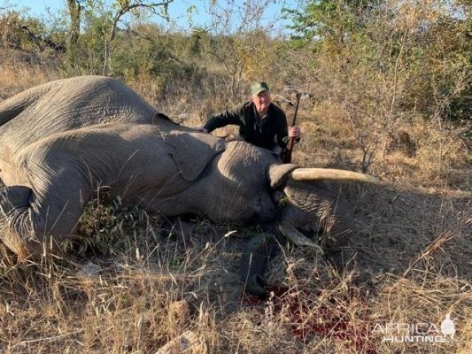 South Africa Hunt Elephant