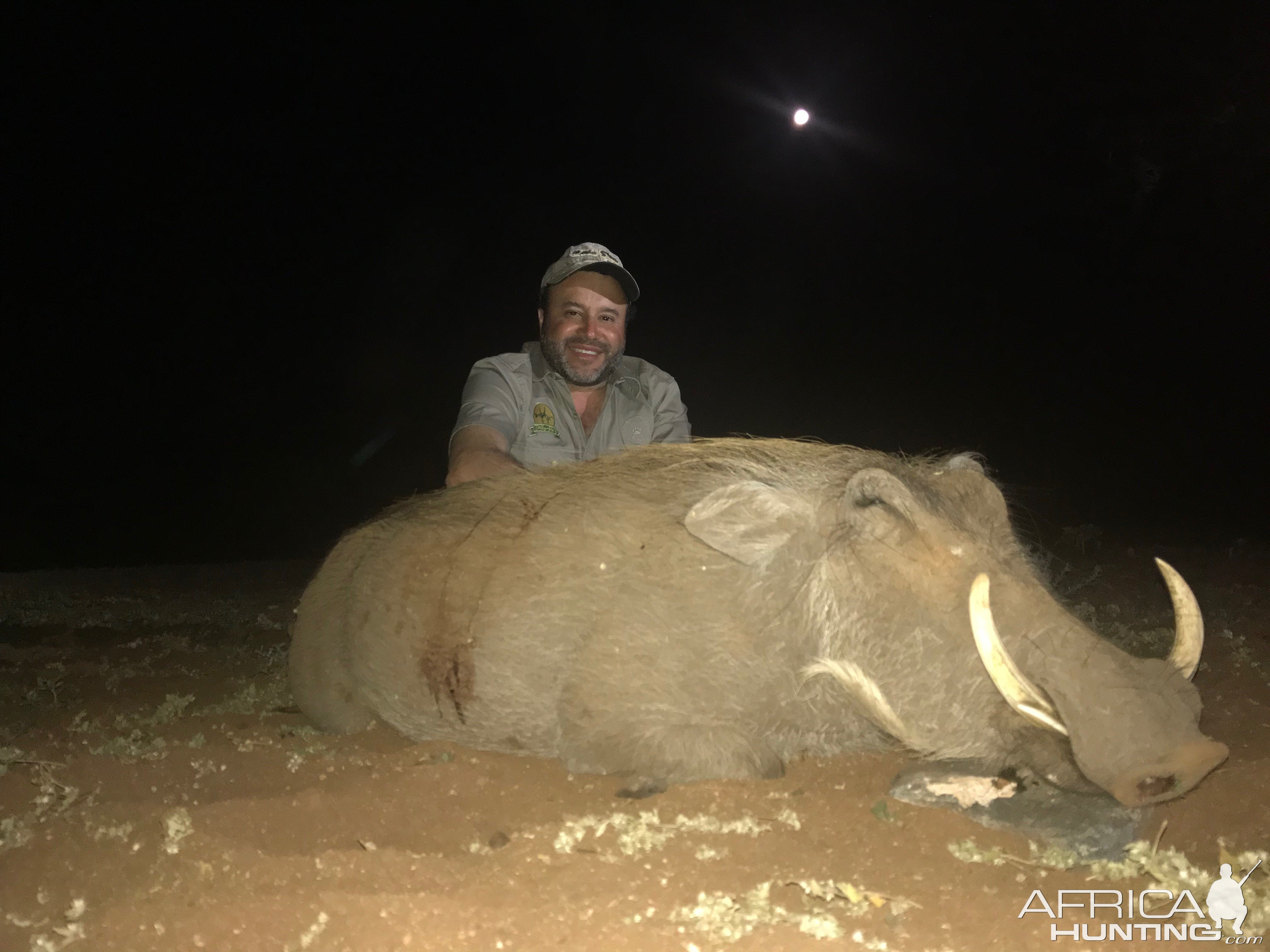 South Africa Hunt Female Warthog