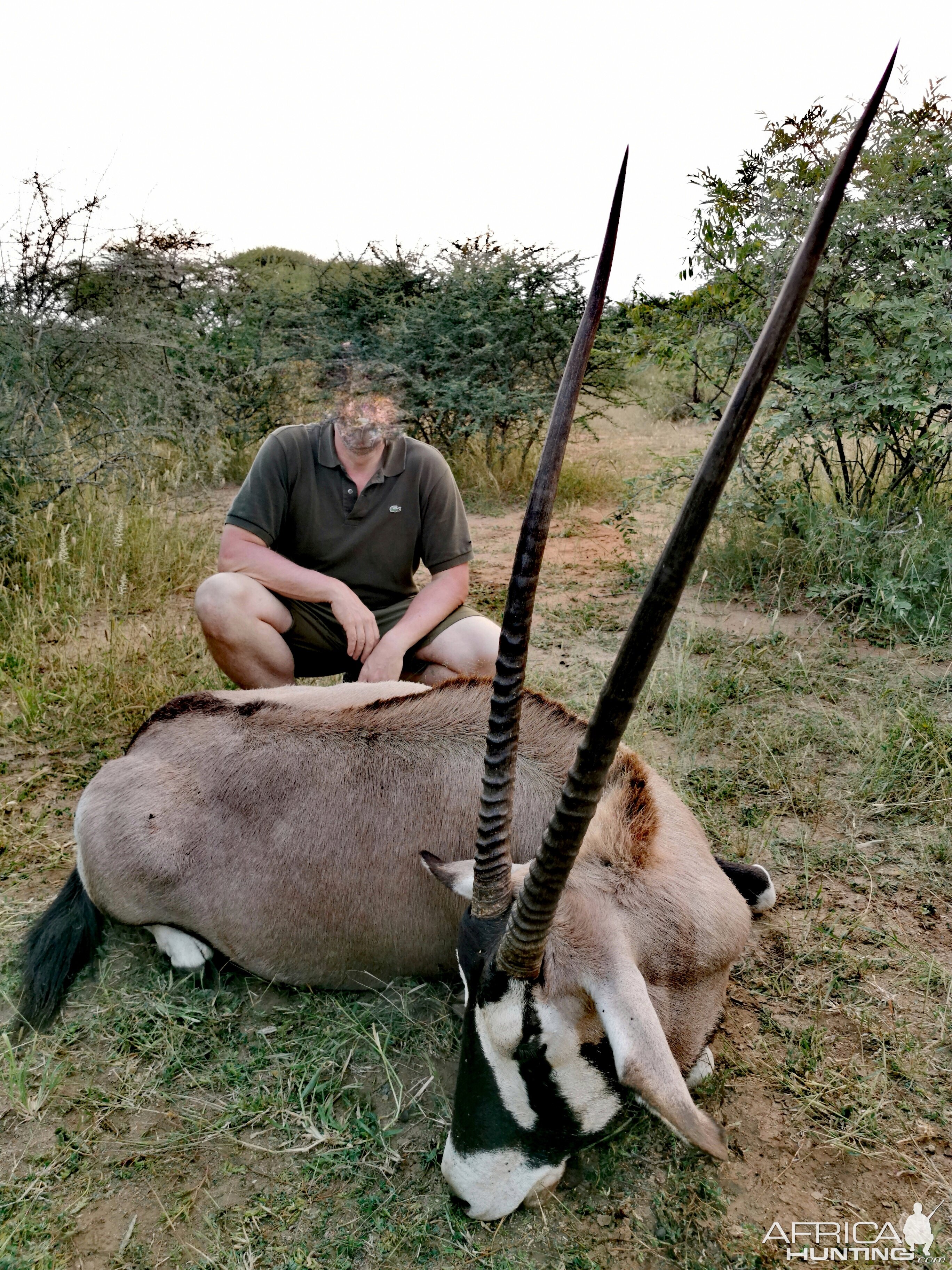 South Africa Hunt Gemsbok