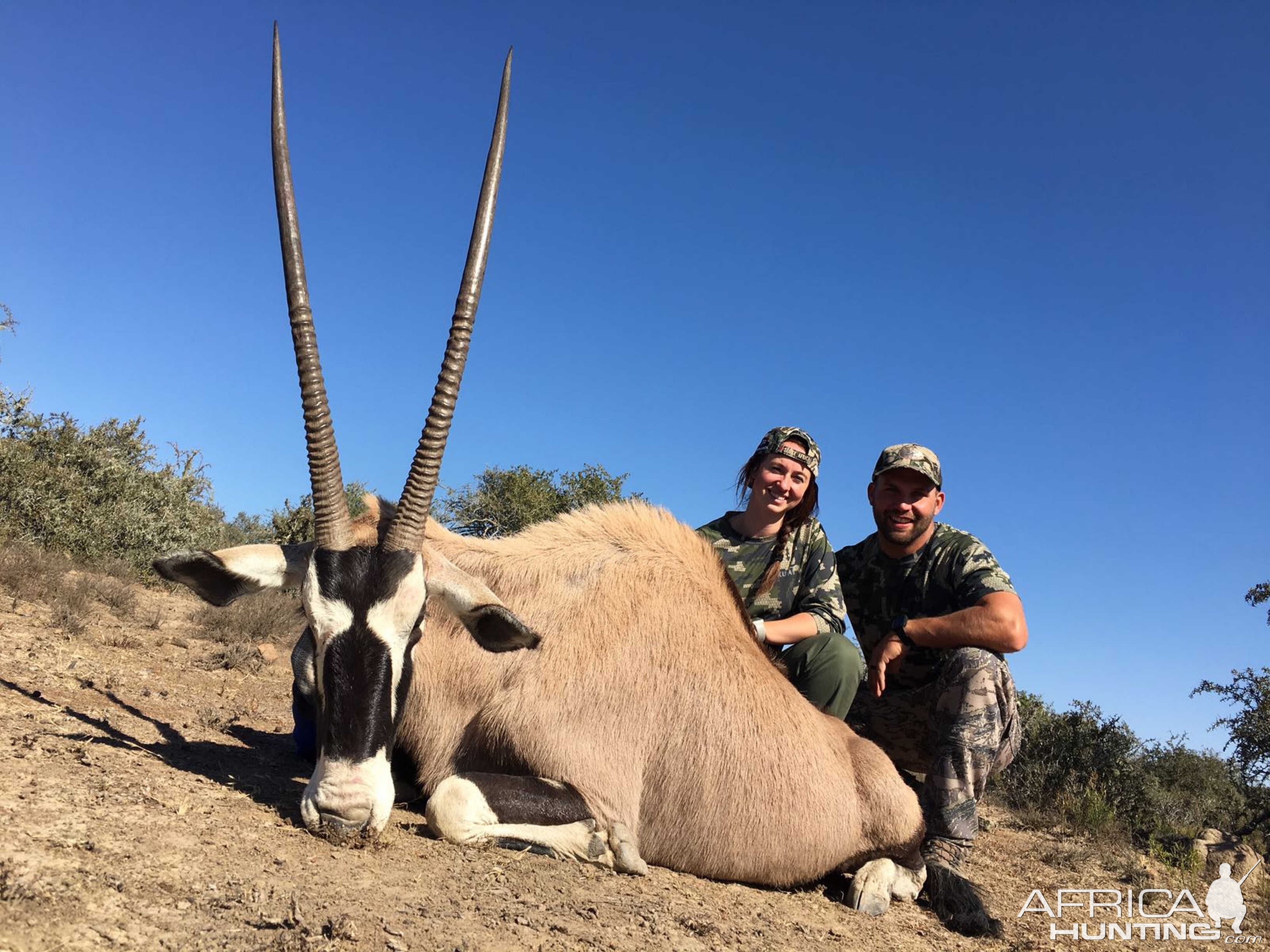 South Africa Hunt Gemsbok