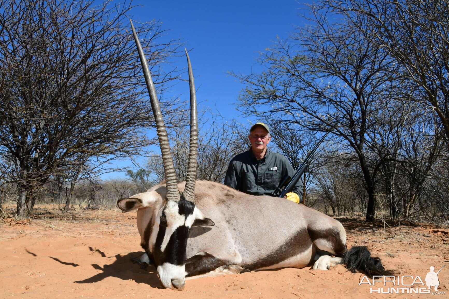 South Africa Hunt Gemsbok | AfricaHunting.com