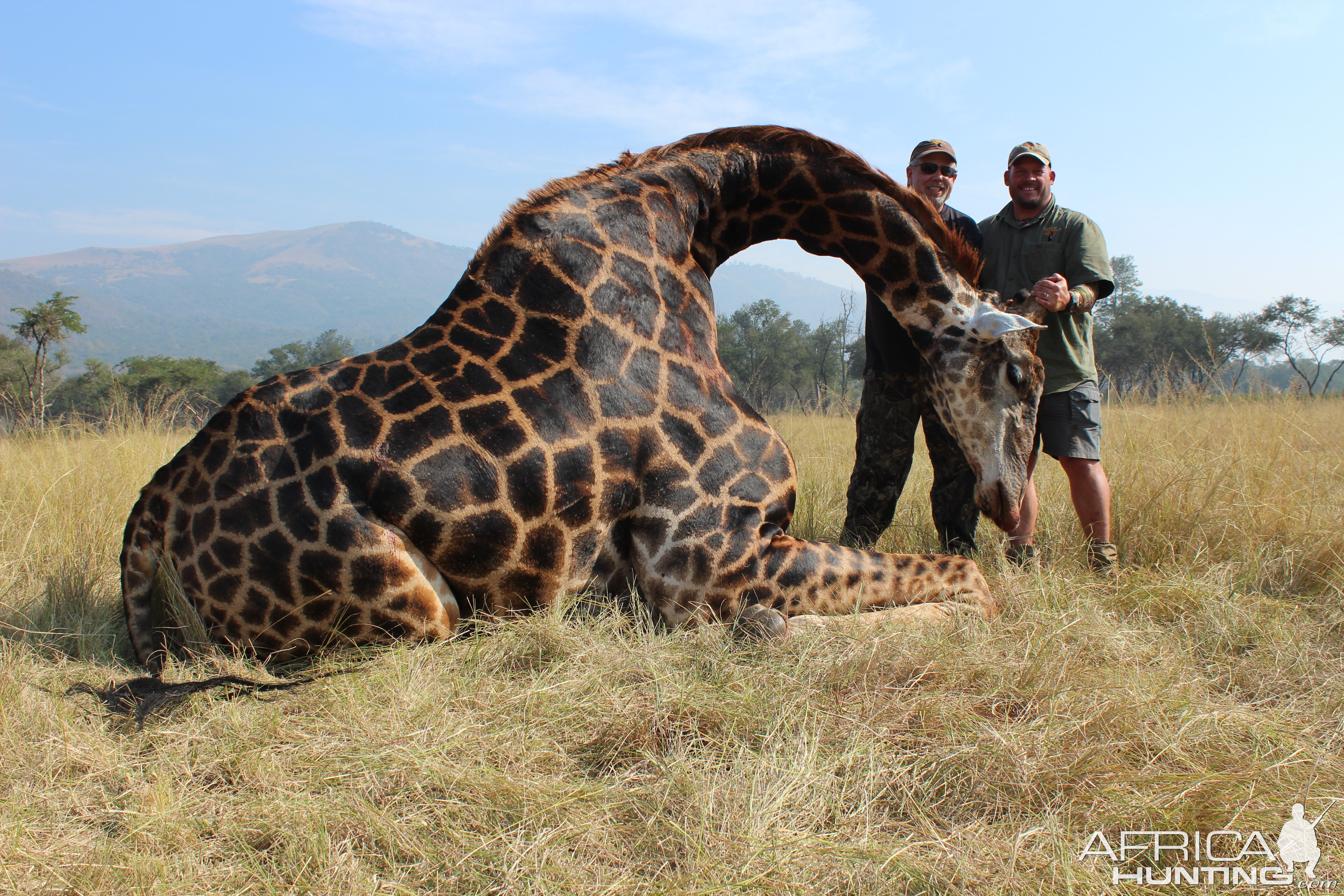 South Africa Hunt Giraffe