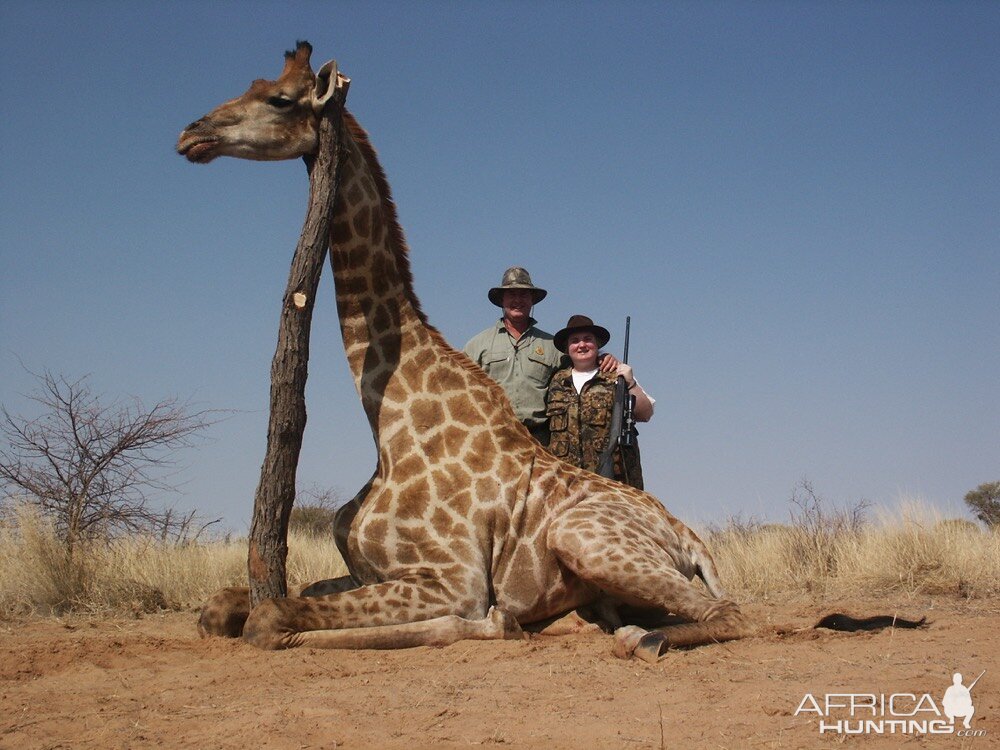 South Africa Hunt Giraffe