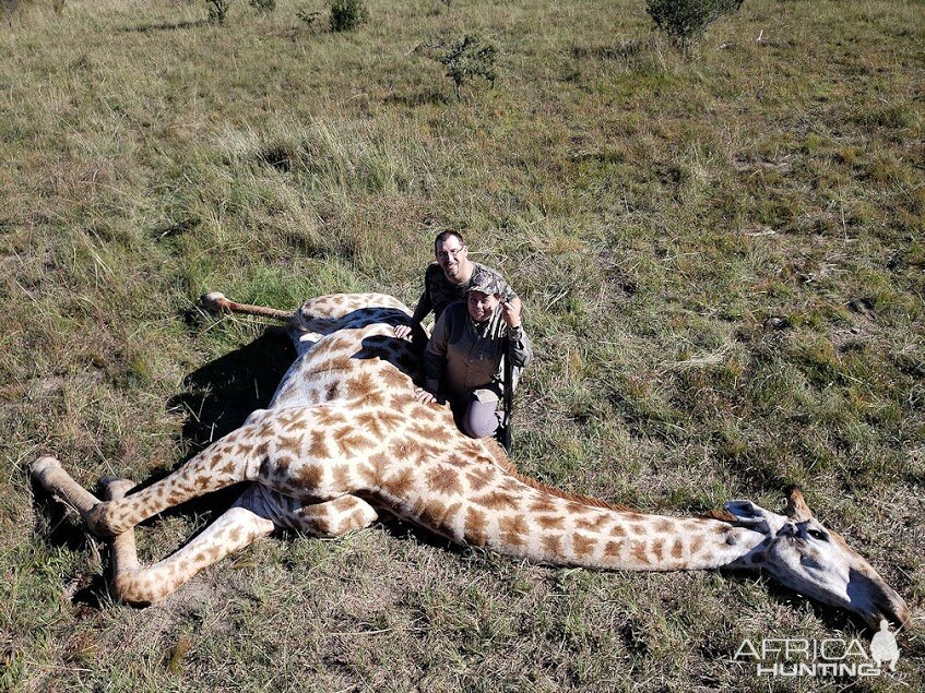 South Africa Hunt Giraffe