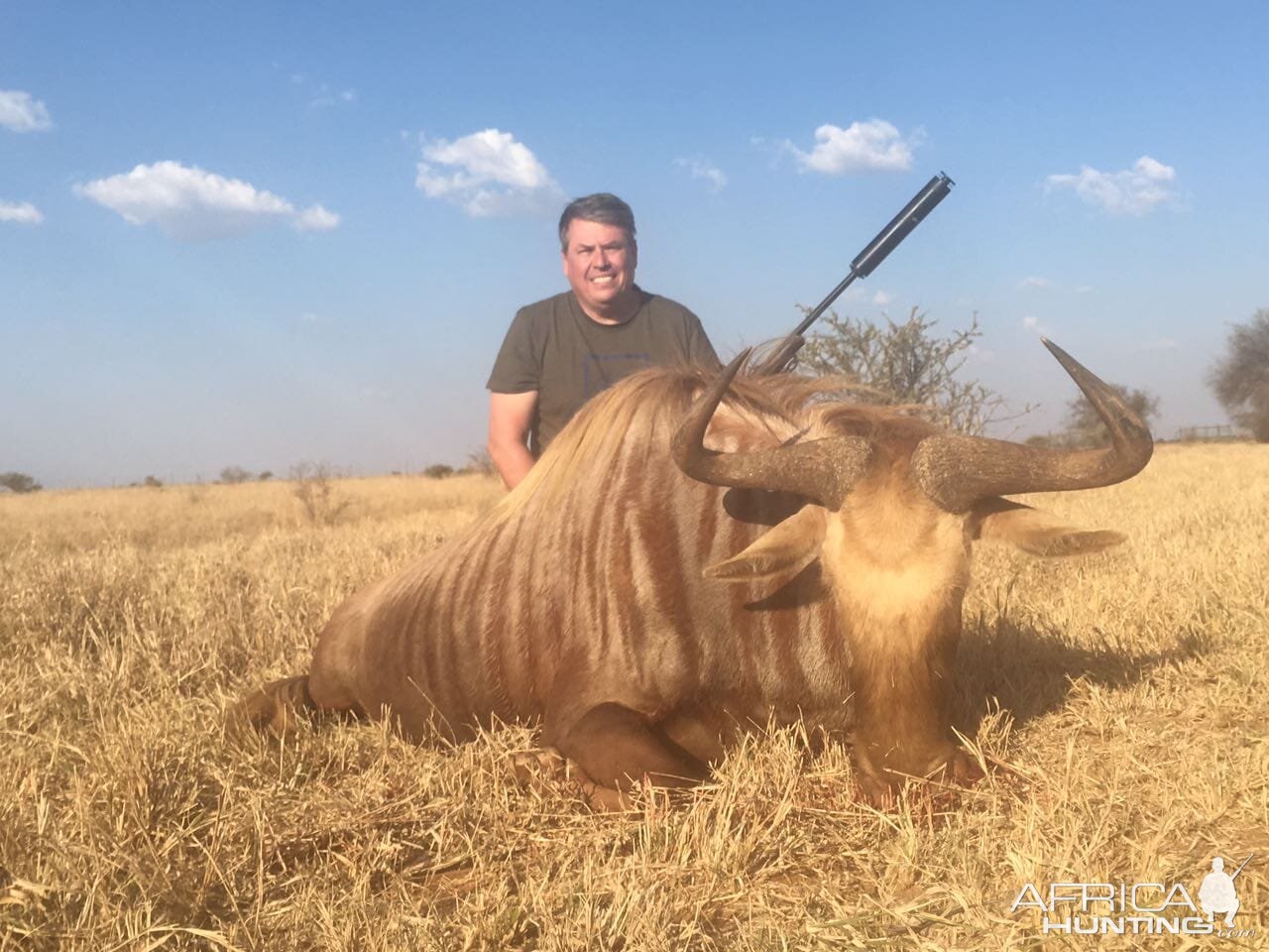 South Africa Hunt Golden Wildebeest