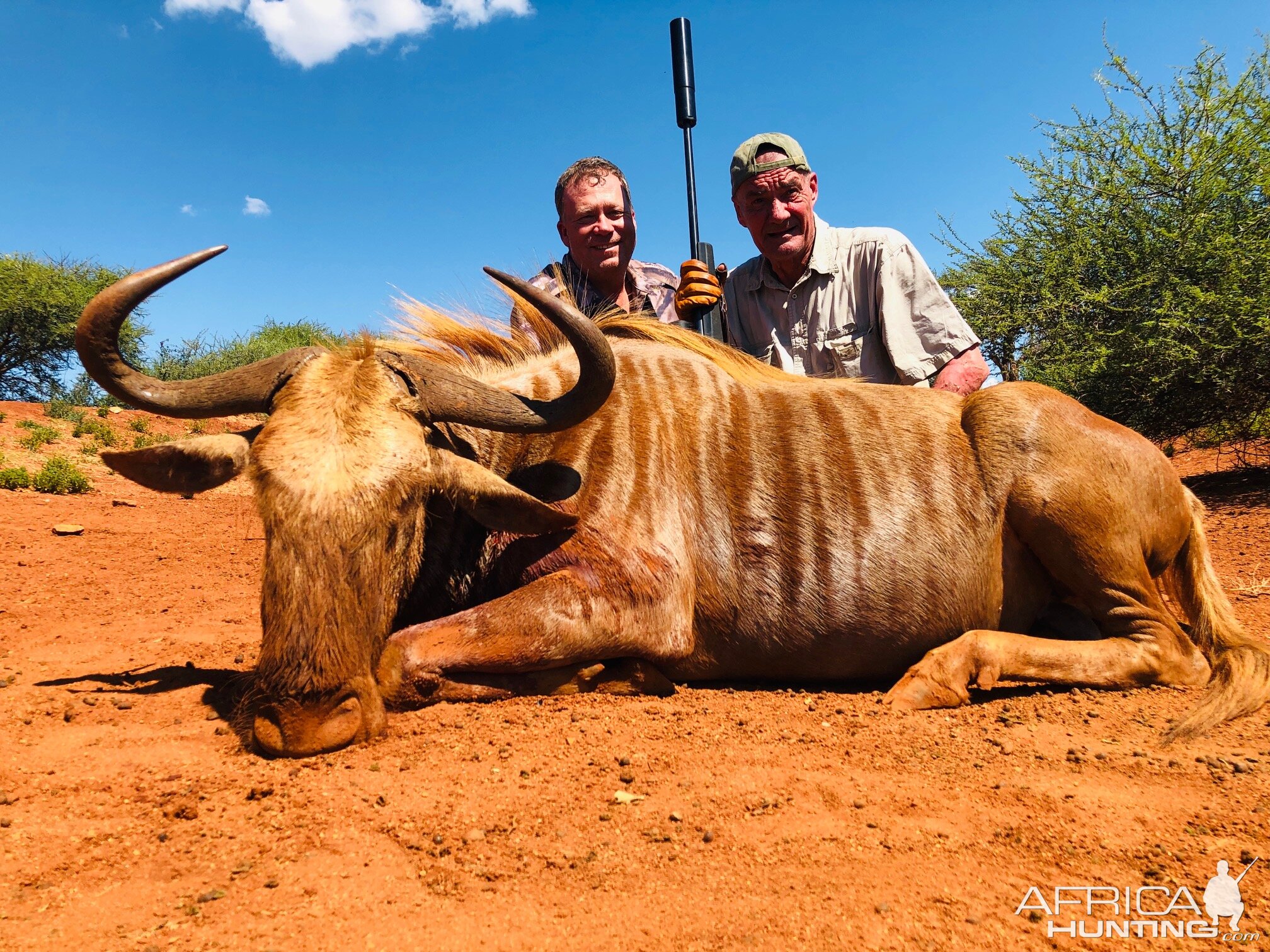 South Africa Hunt Golden Wildebeest