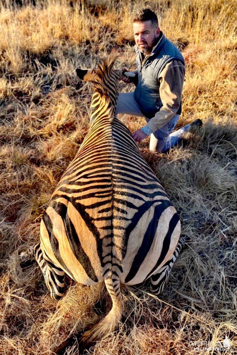 South Africa Hunt Hartmann's Mountain Zebra