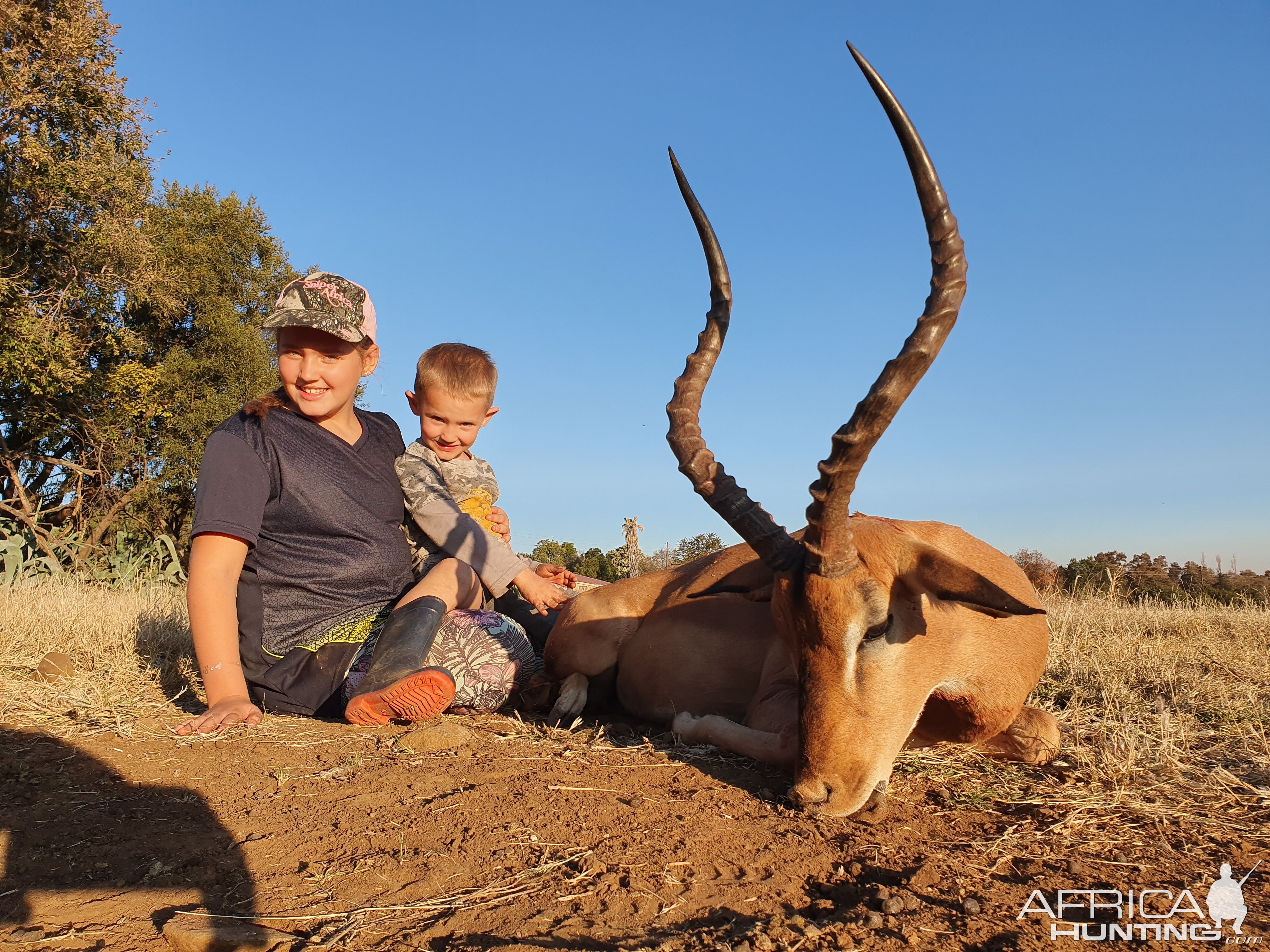 South Africa Hunt Impala