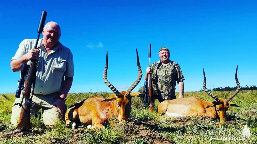 South Africa Hunt Impala