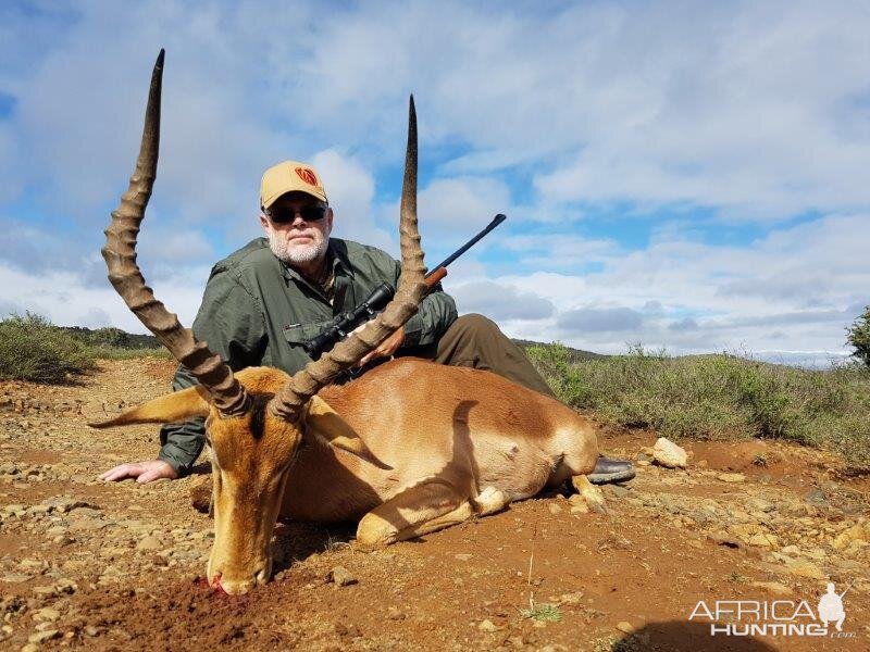 South Africa Hunt Impala