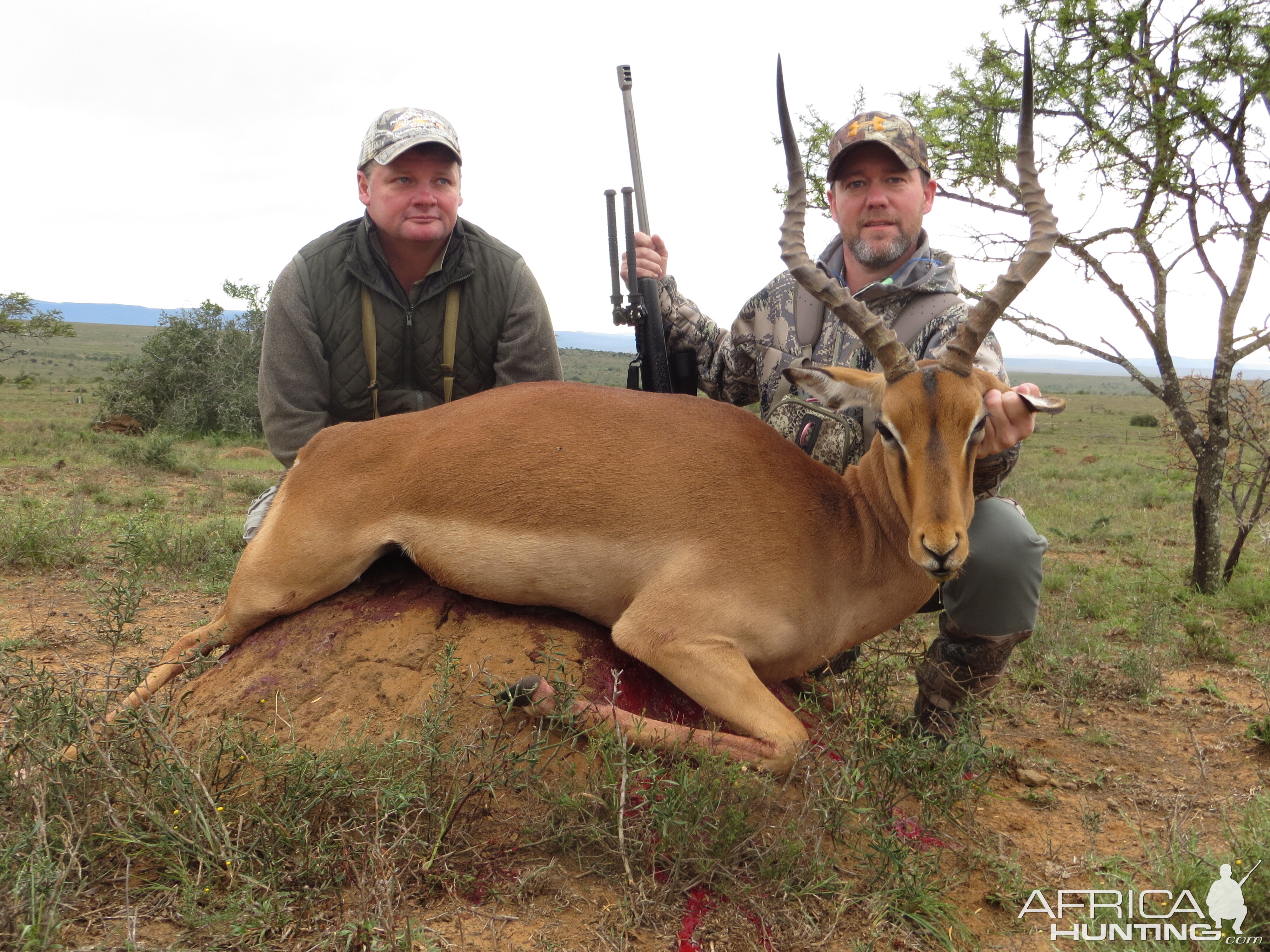 South Africa Hunt Impala