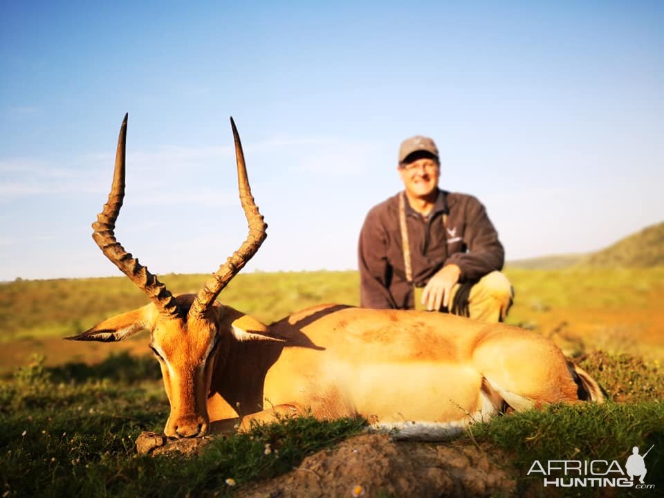 South Africa Hunt Impala