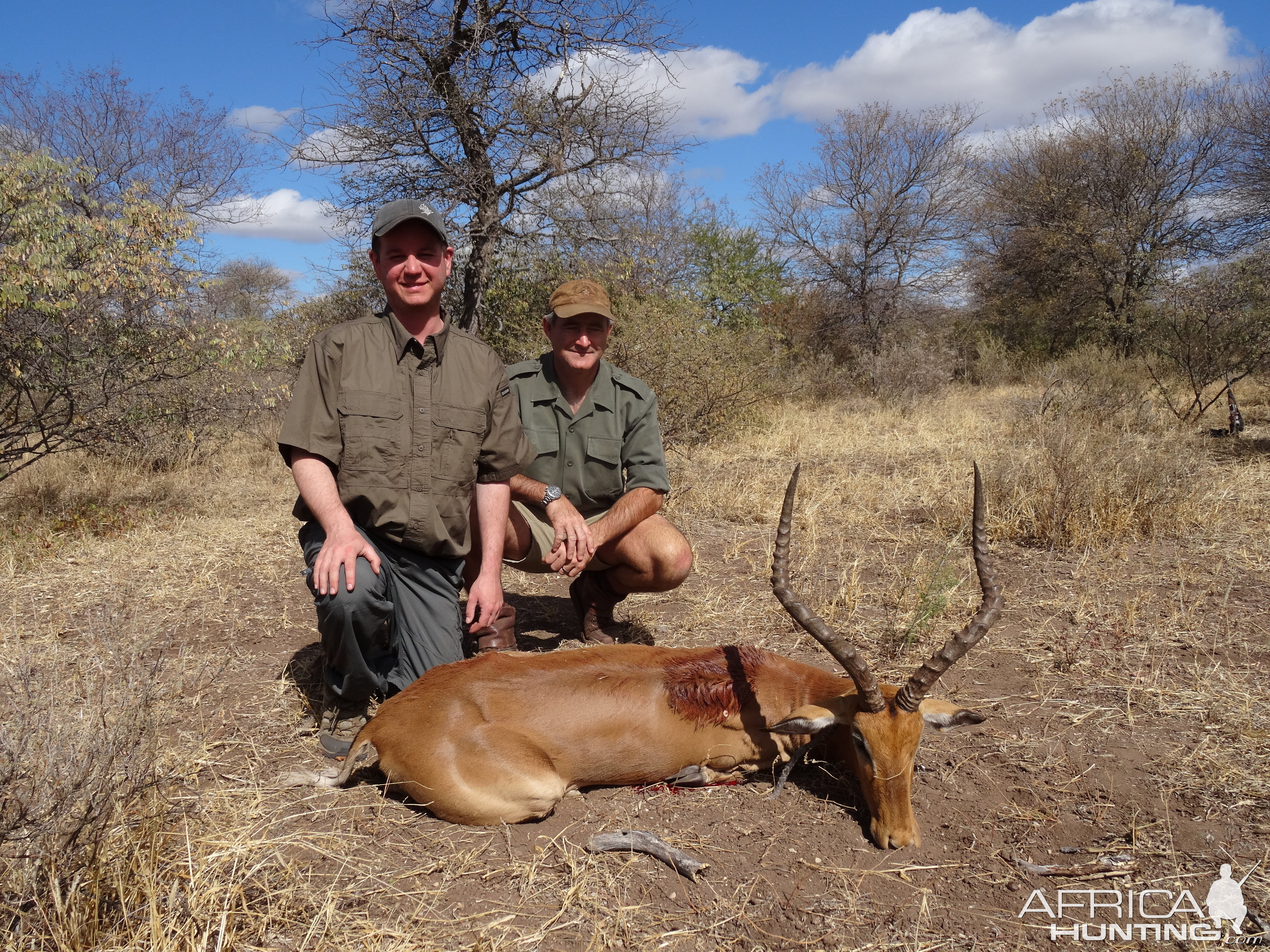 South Africa Hunt Impala