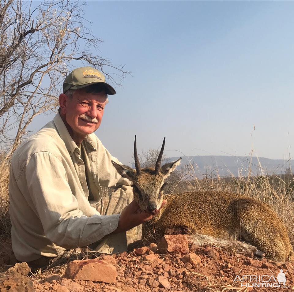 South Africa Hunt Klipspringer