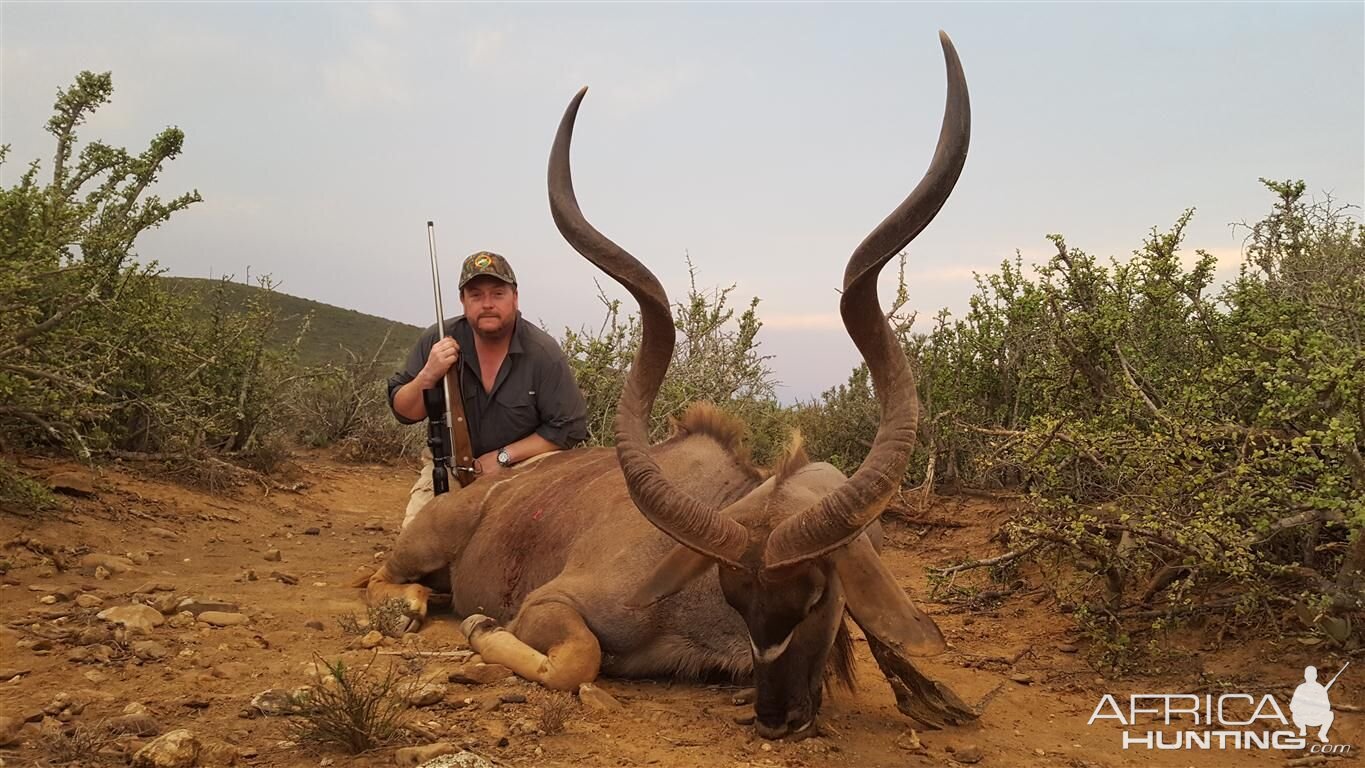 South Africa Hunt Kudu