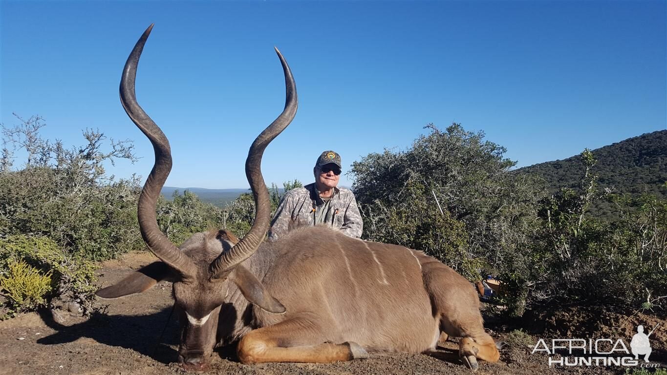 South Africa Hunt Kudu