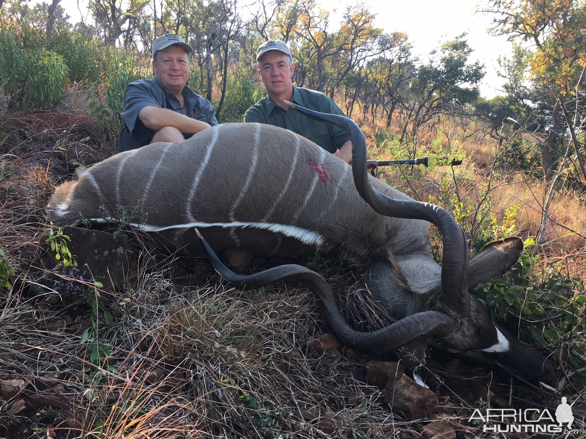 South Africa Hunt Kudu