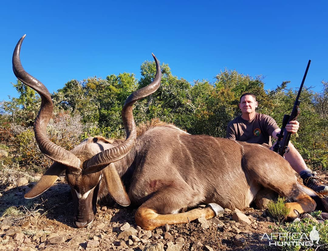 South Africa Hunt Kudu