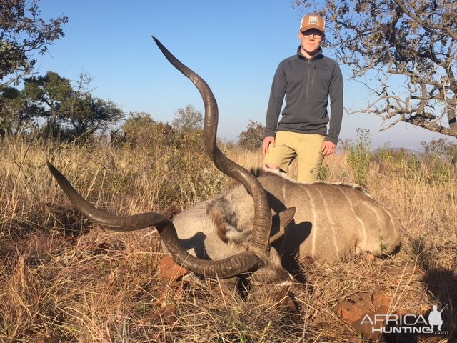 South Africa Hunt Kudu