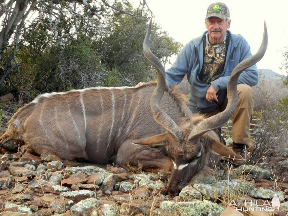 South Africa Hunt Kudu