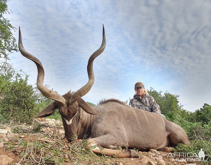 South Africa Hunt Kudu