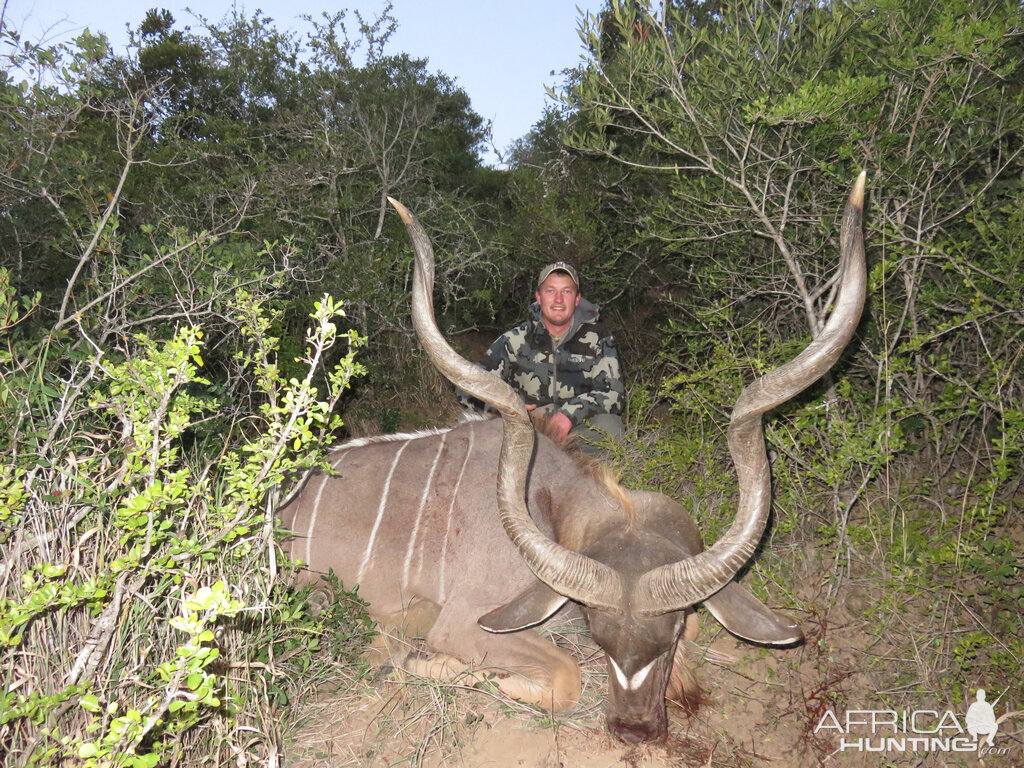 South Africa Hunt Kudu