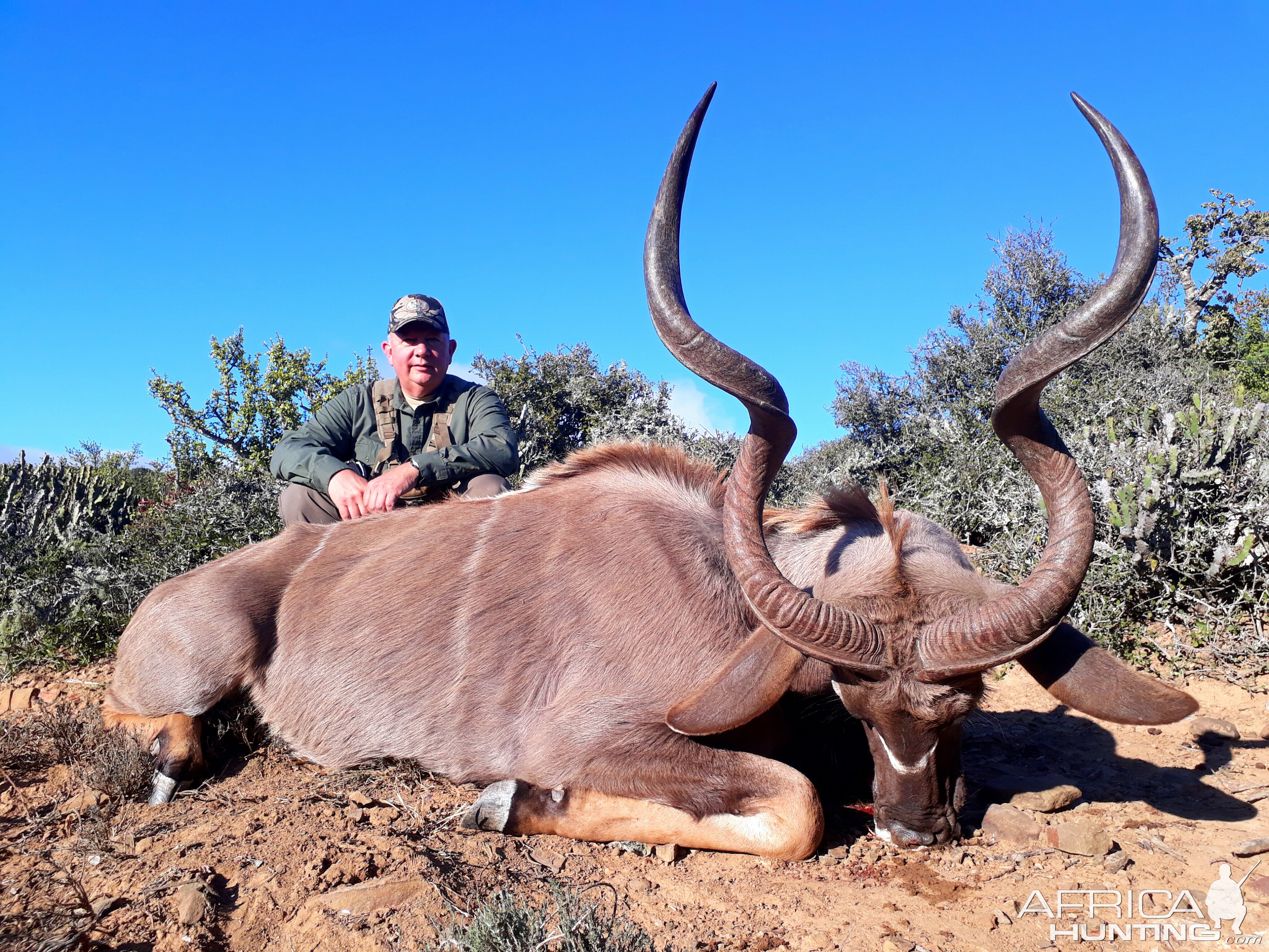 South Africa Hunt Kudu