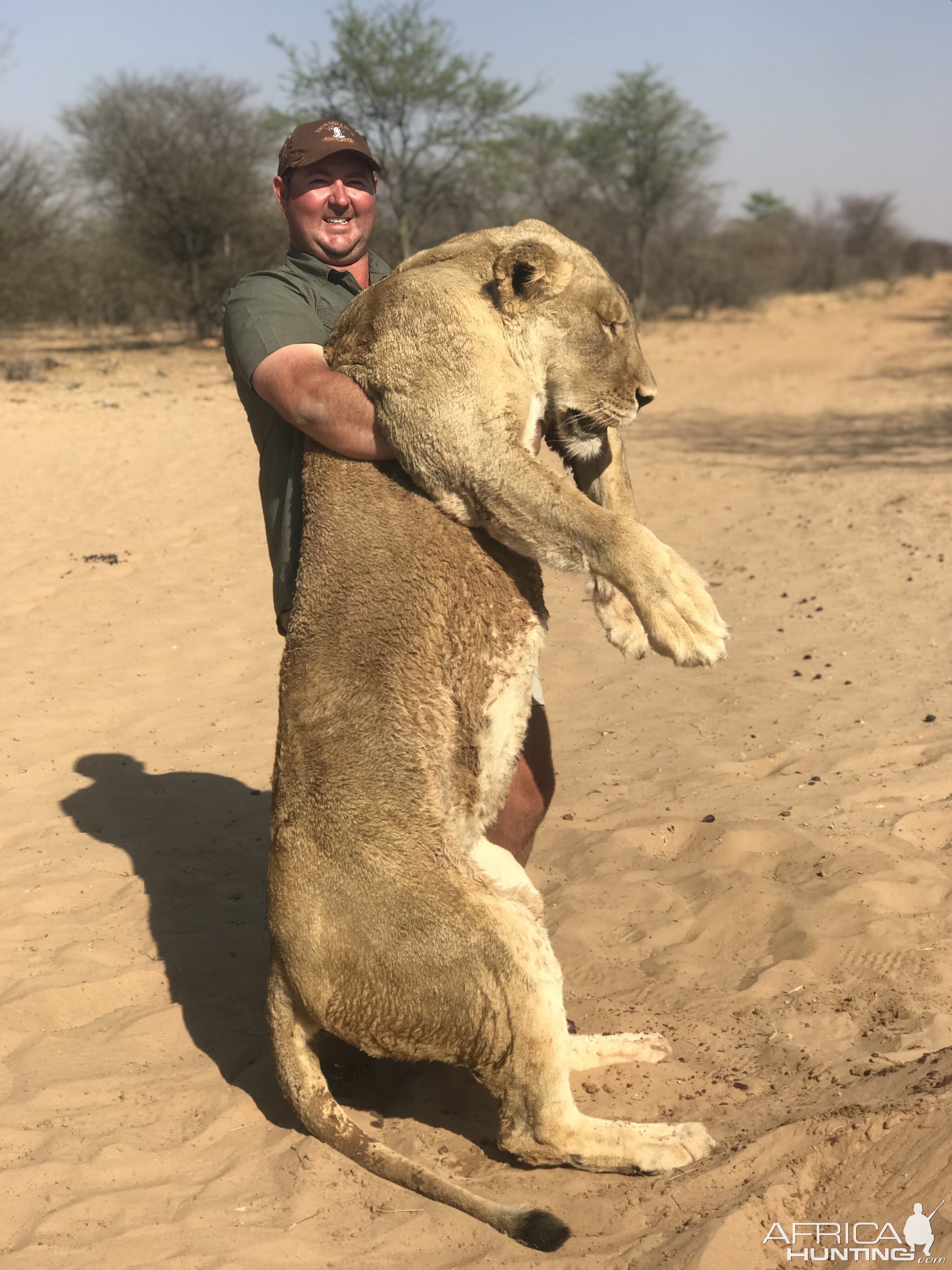 South Africa Hunt Lioness