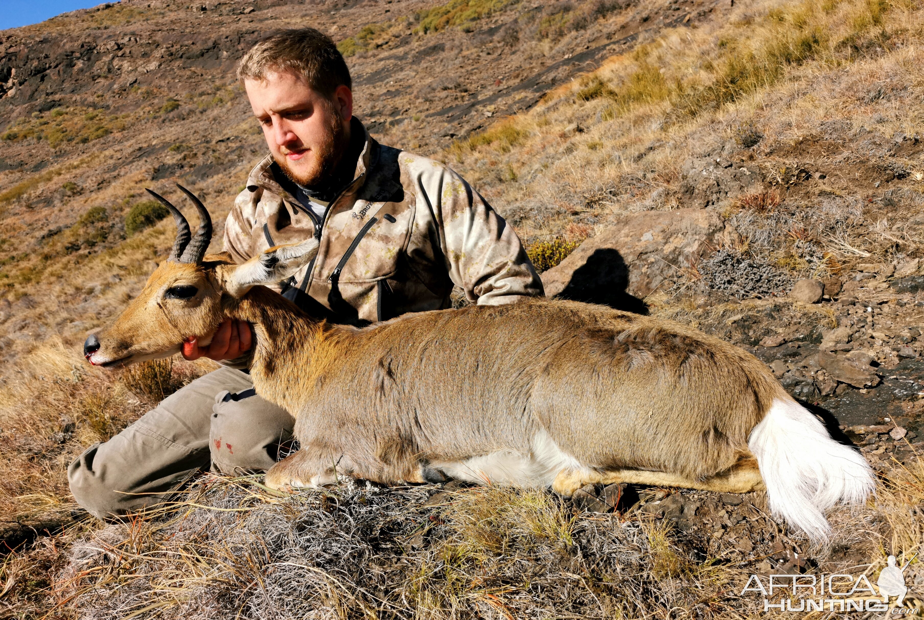 South Africa Hunt Mountain Reedbuck