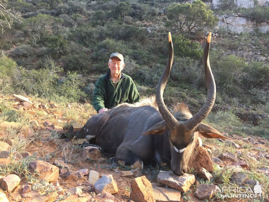 South Africa Hunt Nyala