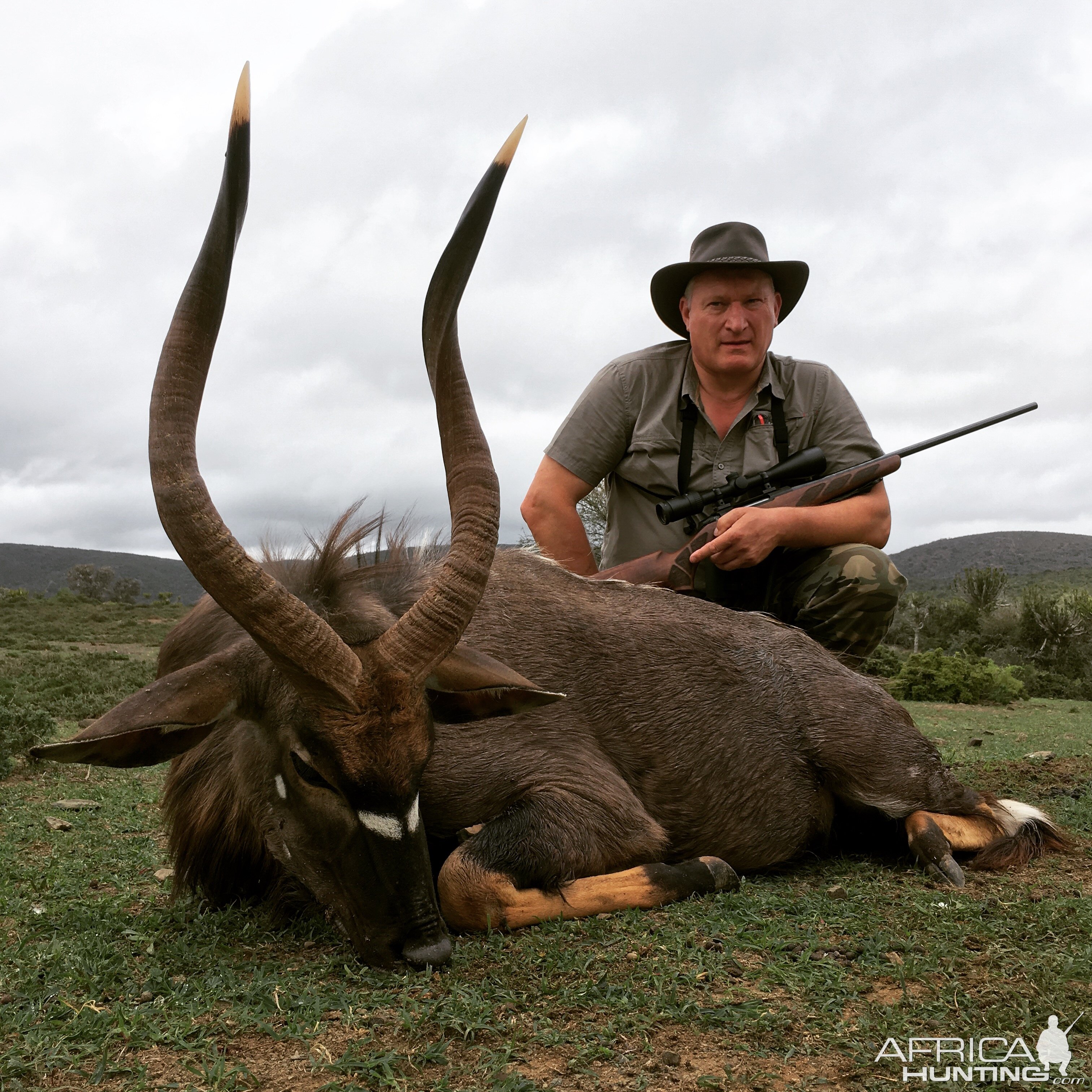 South Africa Hunt Nyala