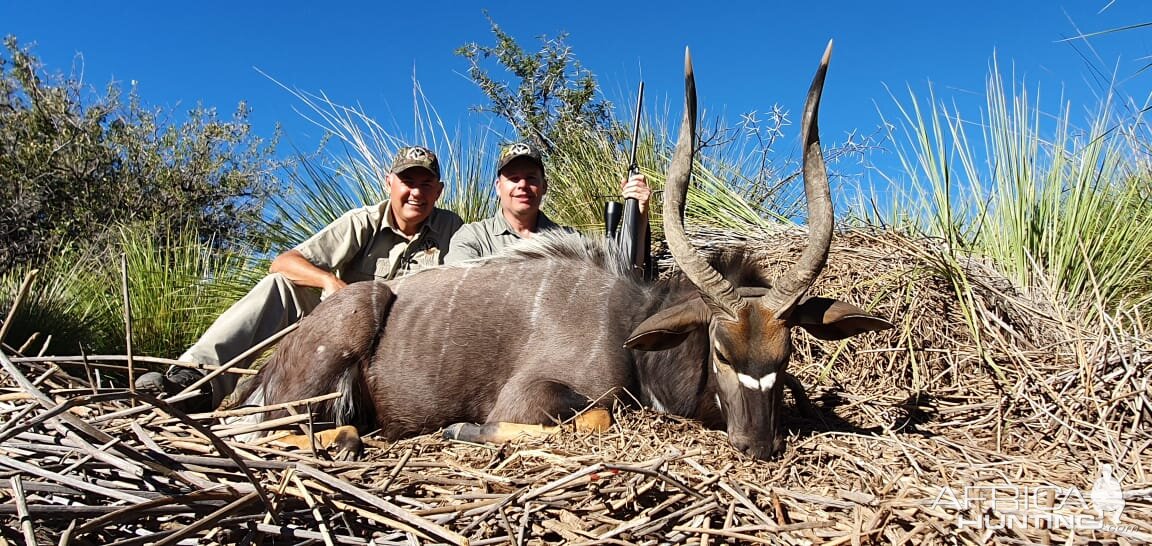 South Africa Hunt Nyala