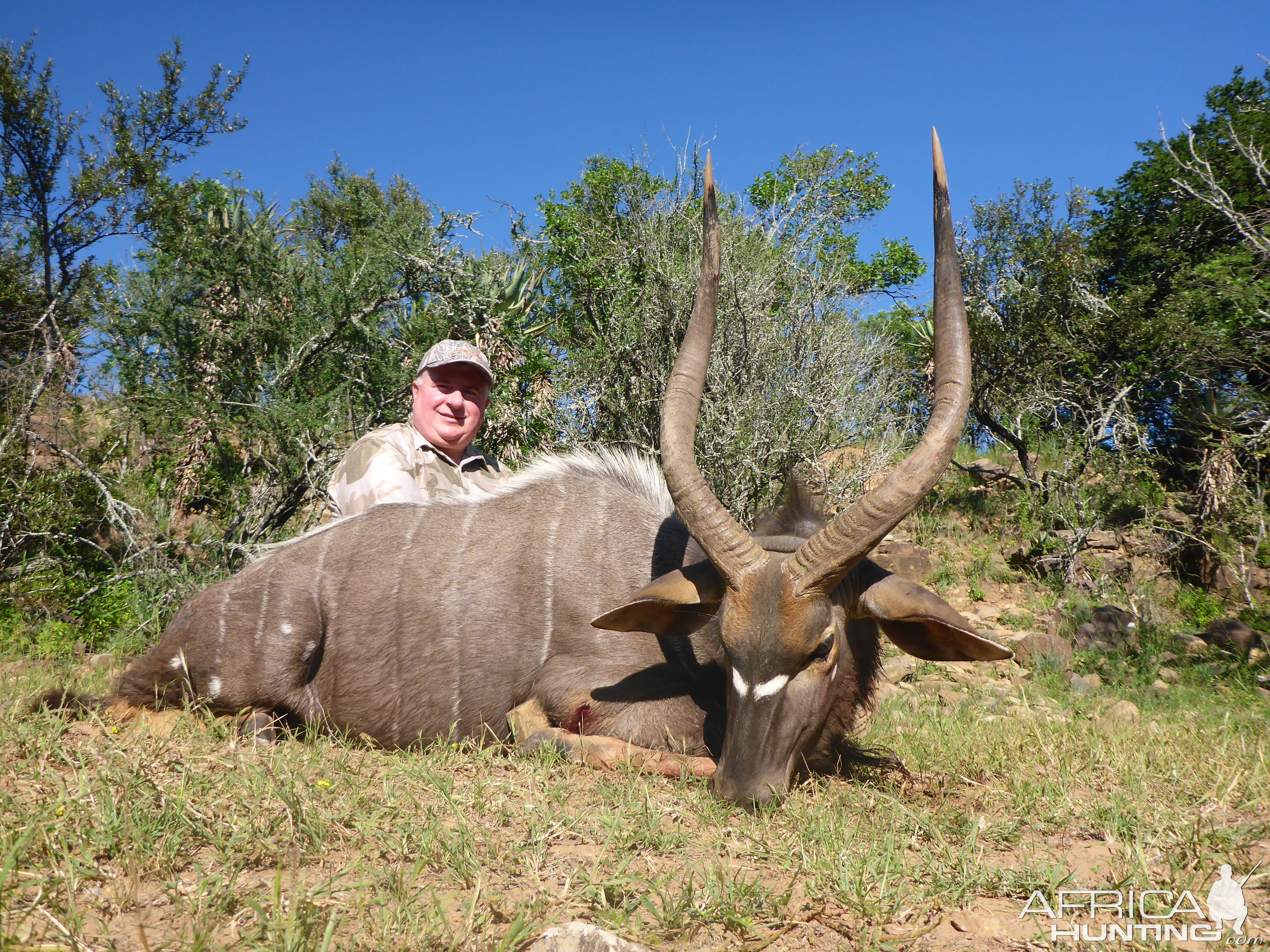 South Africa Hunt Nyala