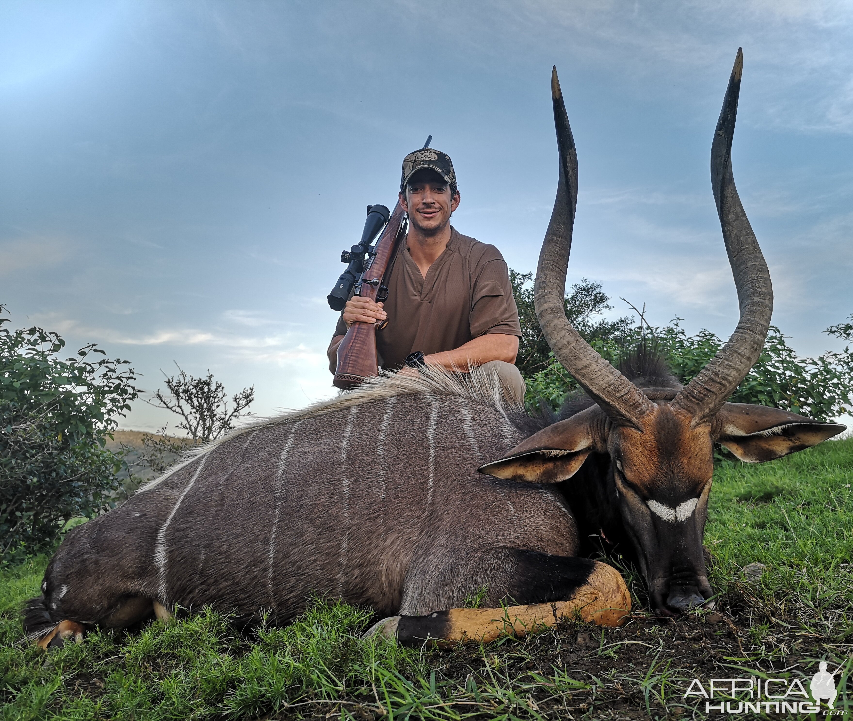 South Africa Hunt Nyala