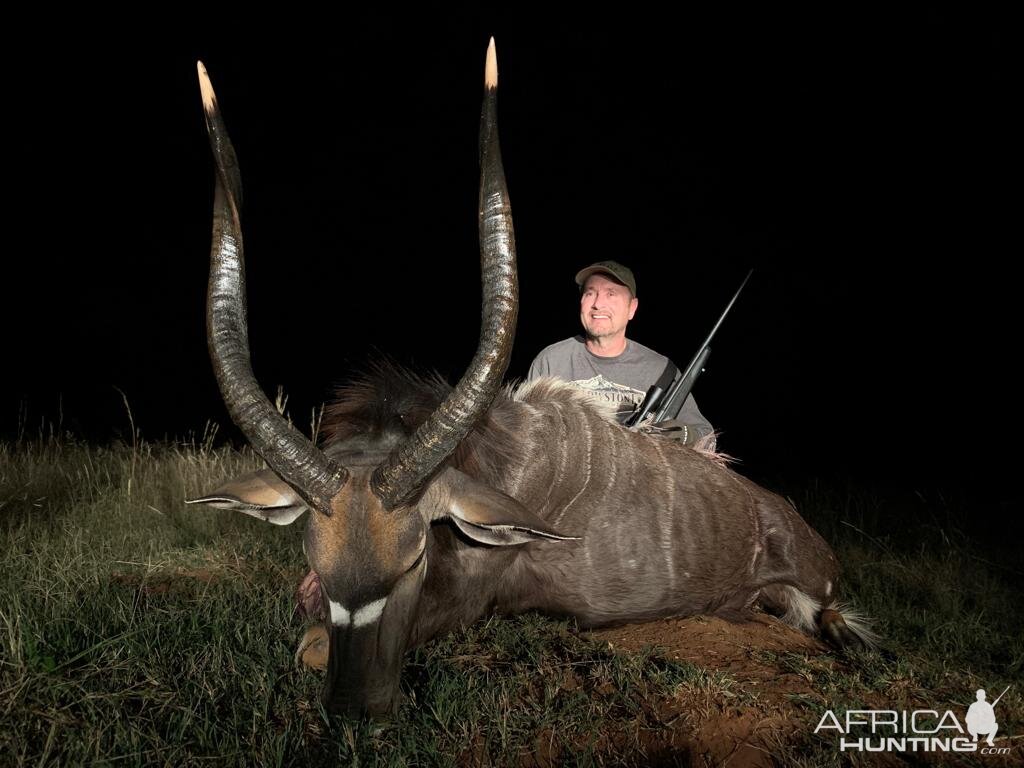 South Africa Hunt Nyala