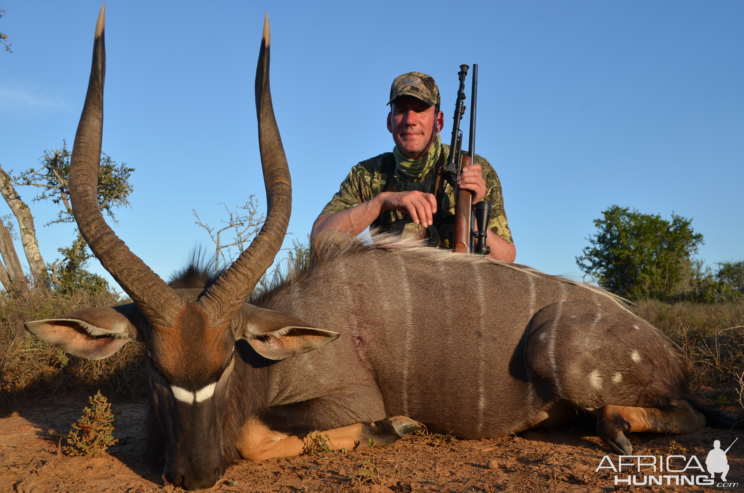 South Africa Hunt Nyala