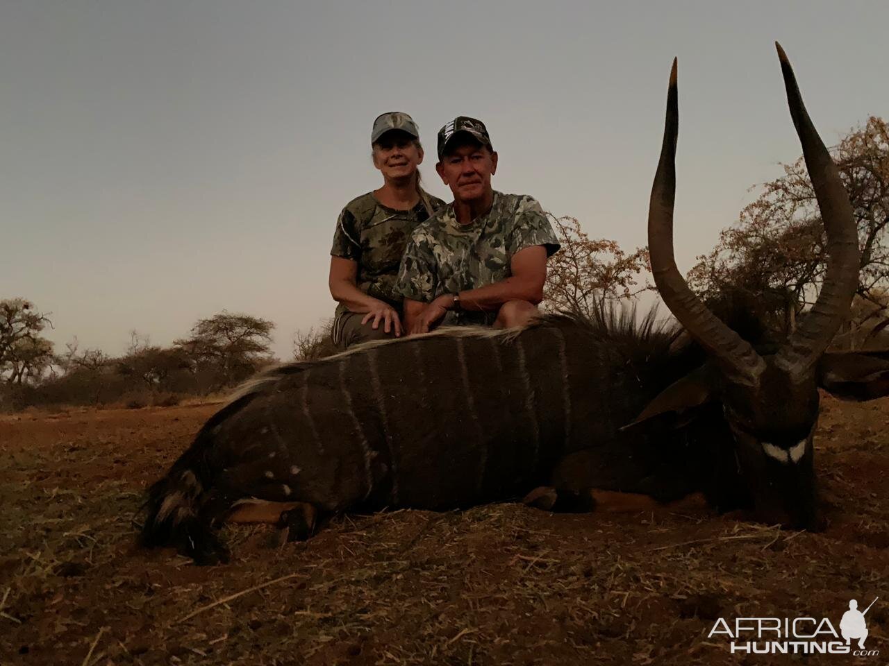 South Africa Hunt Nyala