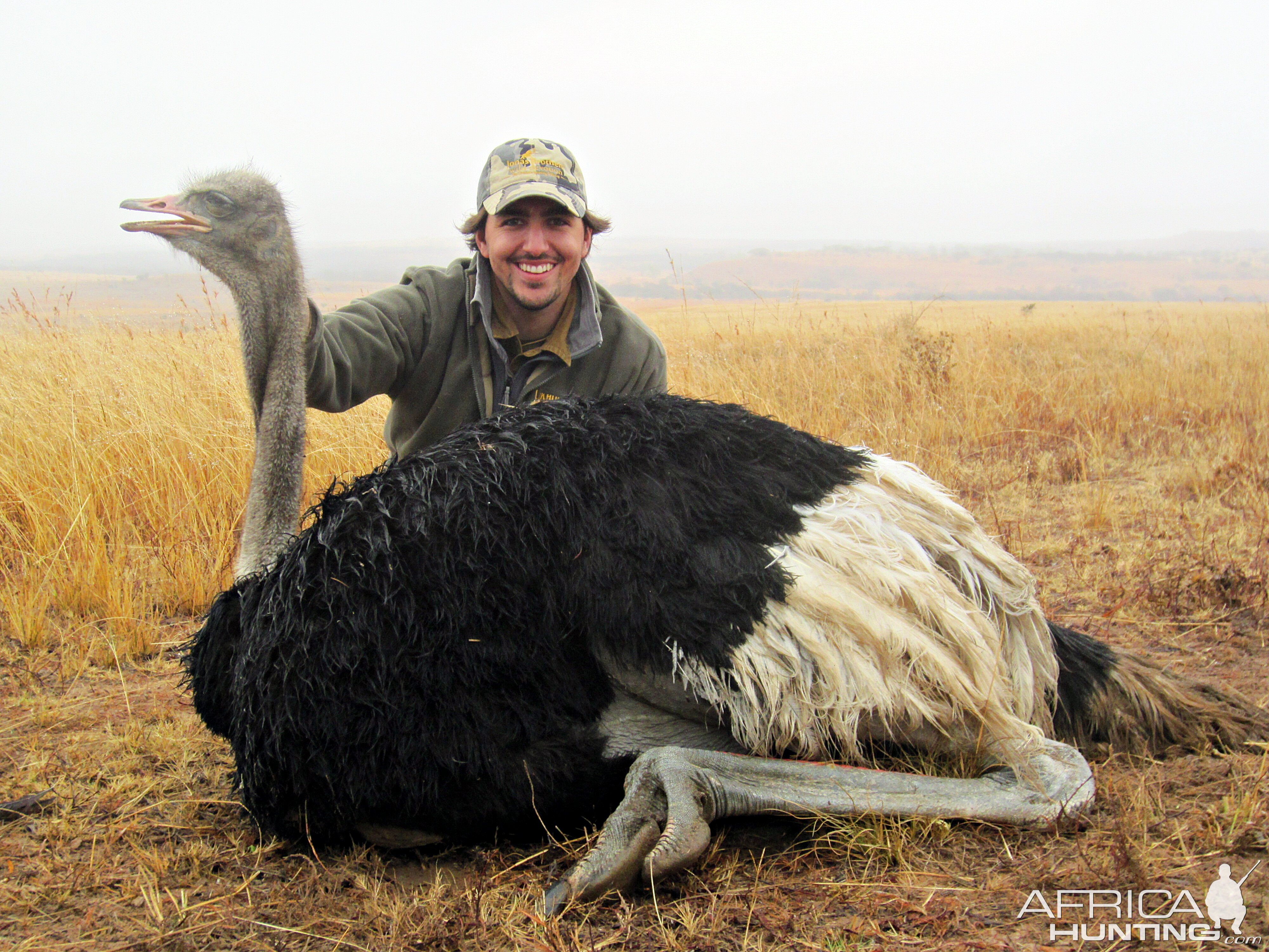 South Africa Hunt Ostrich