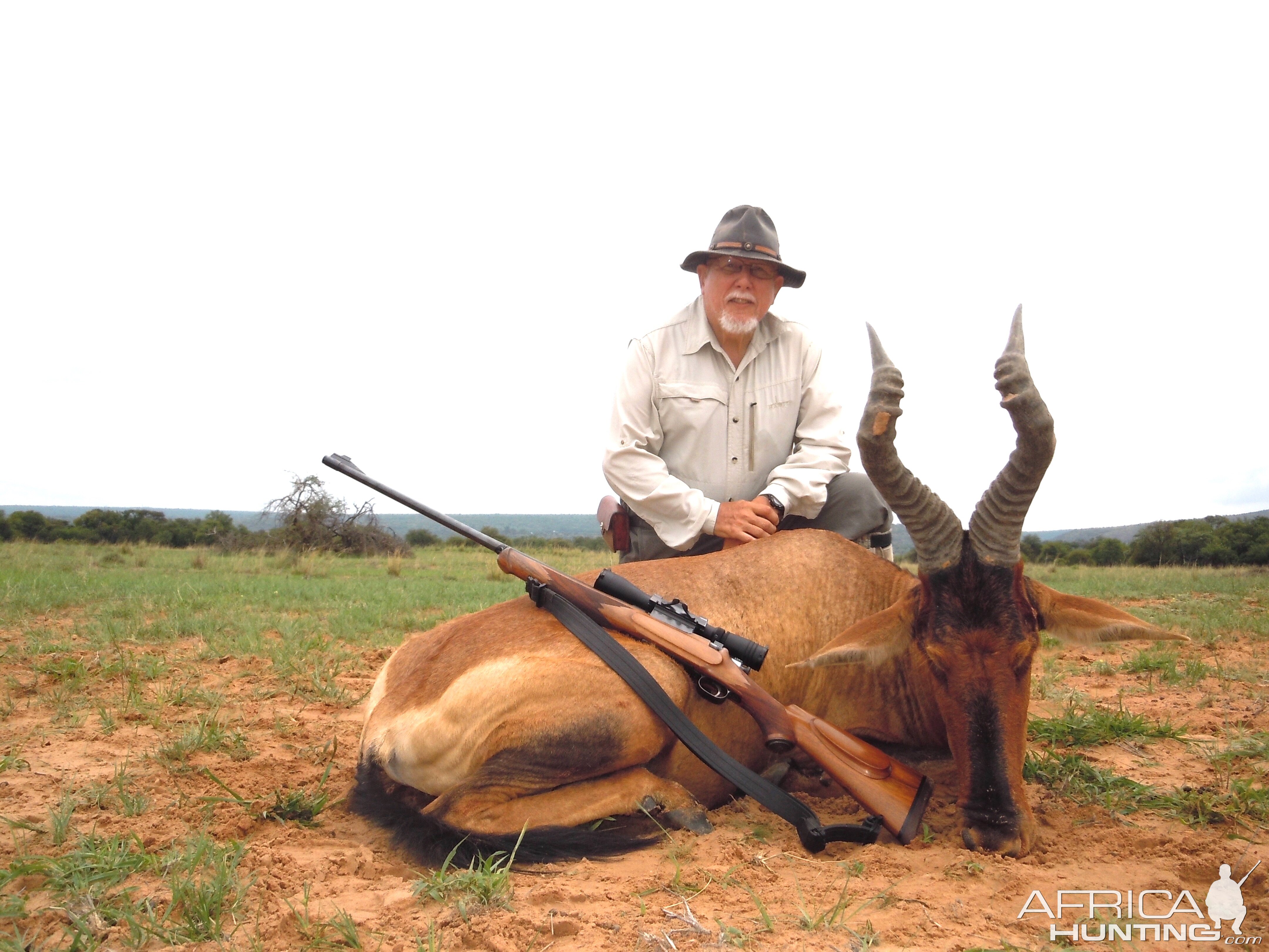 South Africa Hunt Red Hartebeest