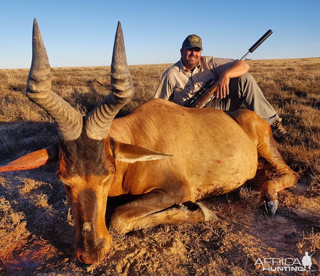 South Africa Hunt Red Hartebeest